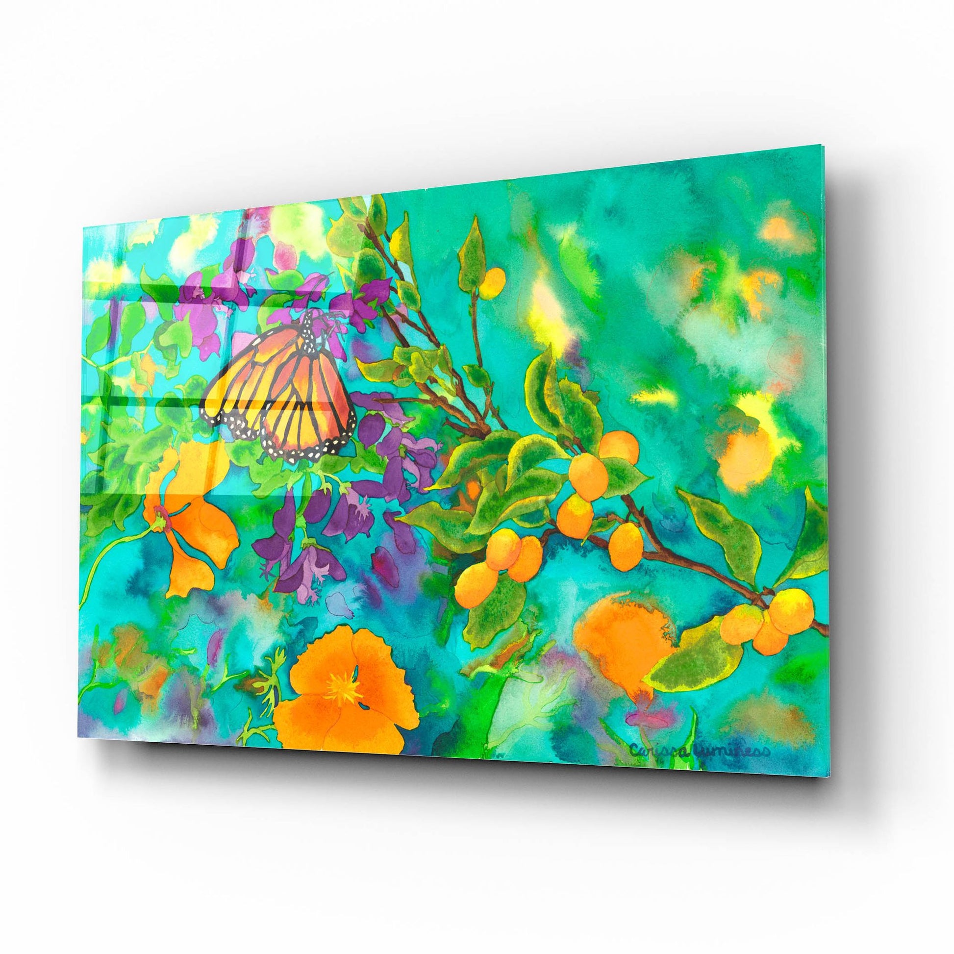 Epic Art 'California Monarch' by Carissa Luminess, Acrylic Glass Wall Art,16x12