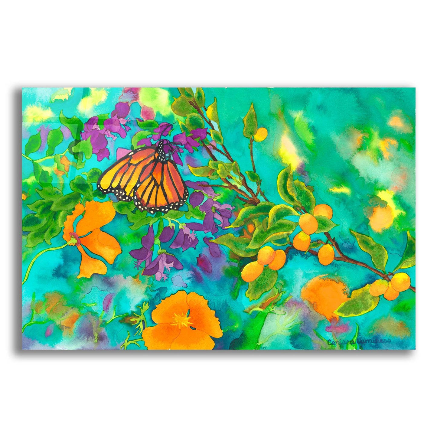 Epic Art 'California Monarch' by Carissa Luminess, Acrylic Glass Wall Art,16x12