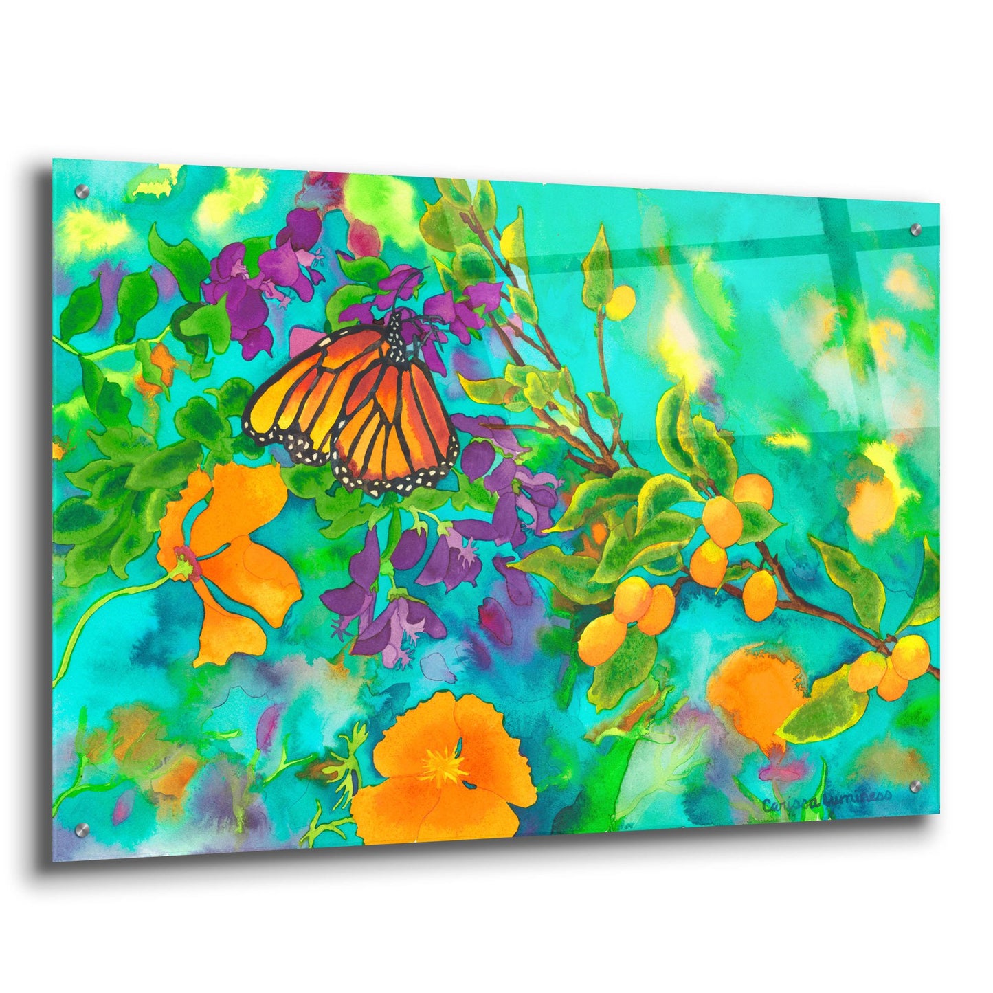 Epic Art 'California Monarch' by Carissa Luminess, Acrylic Glass Wall Art,36x24