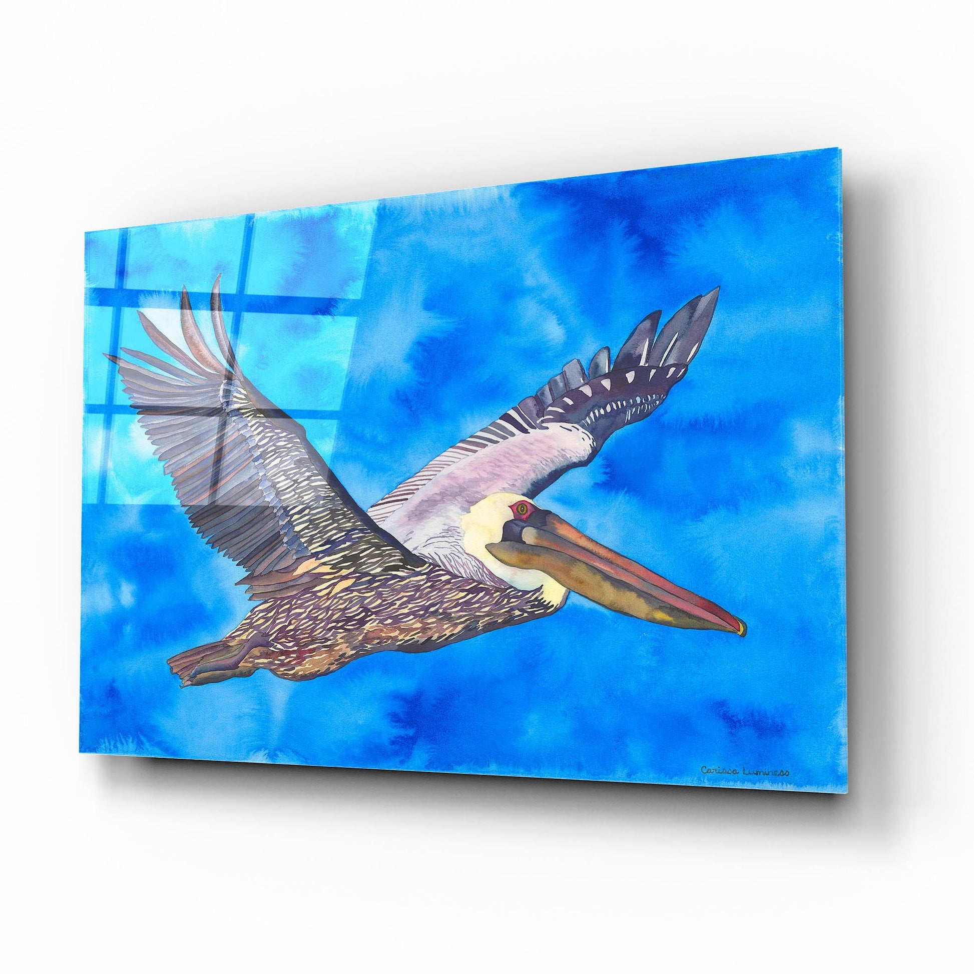 Epic Art 'Flying Pelican' by Carissa Luminess, Acrylic Glass Wall Art,16x12