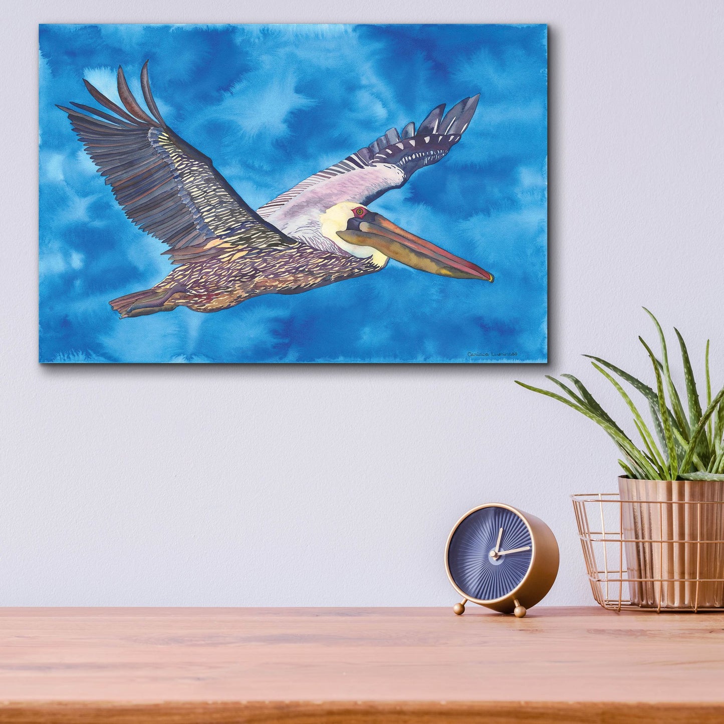 Epic Art 'Flying Pelican' by Carissa Luminess, Acrylic Glass Wall Art,16x12