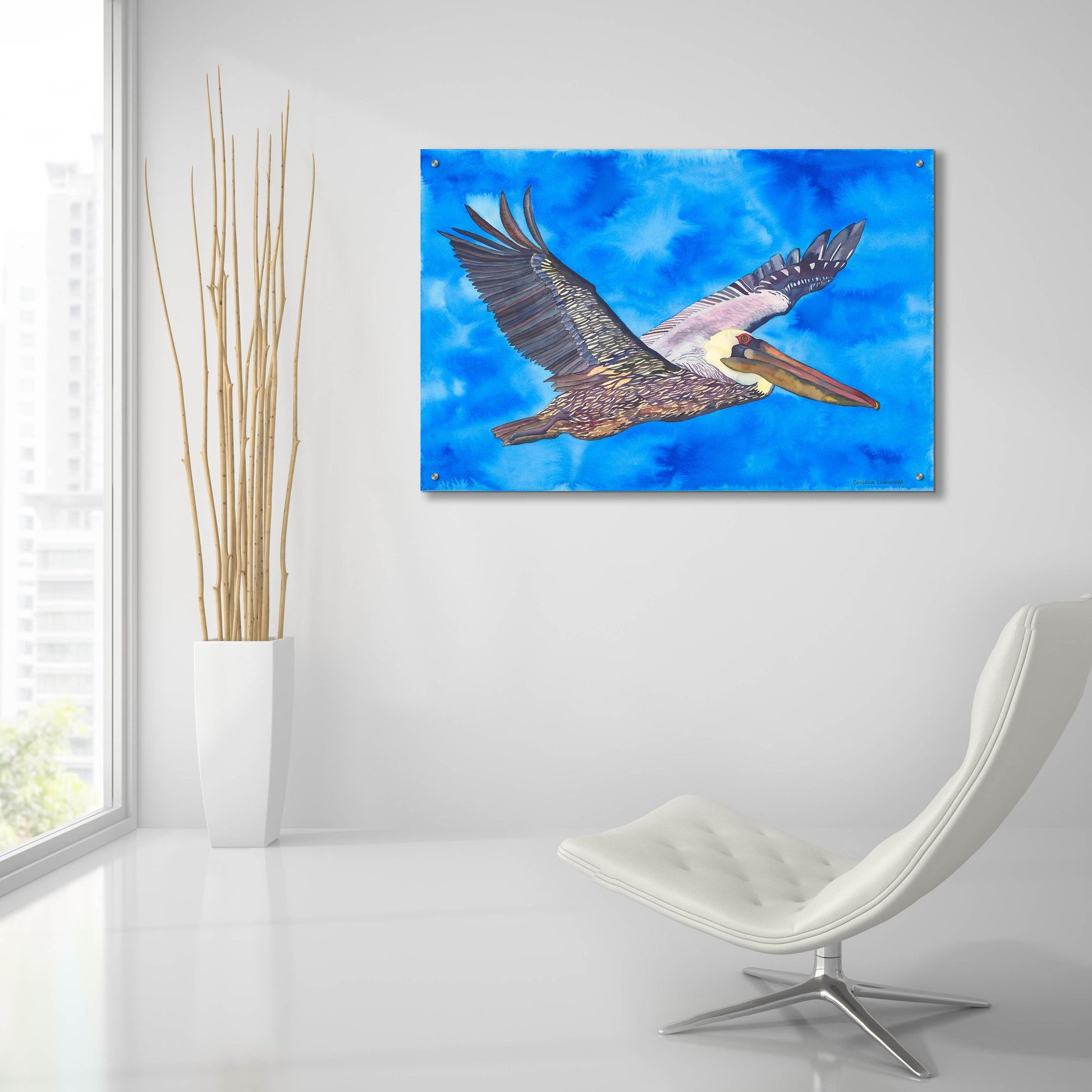 Epic Art 'Flying Pelican' by Carissa Luminess, Acrylic Glass Wall Art,36x24