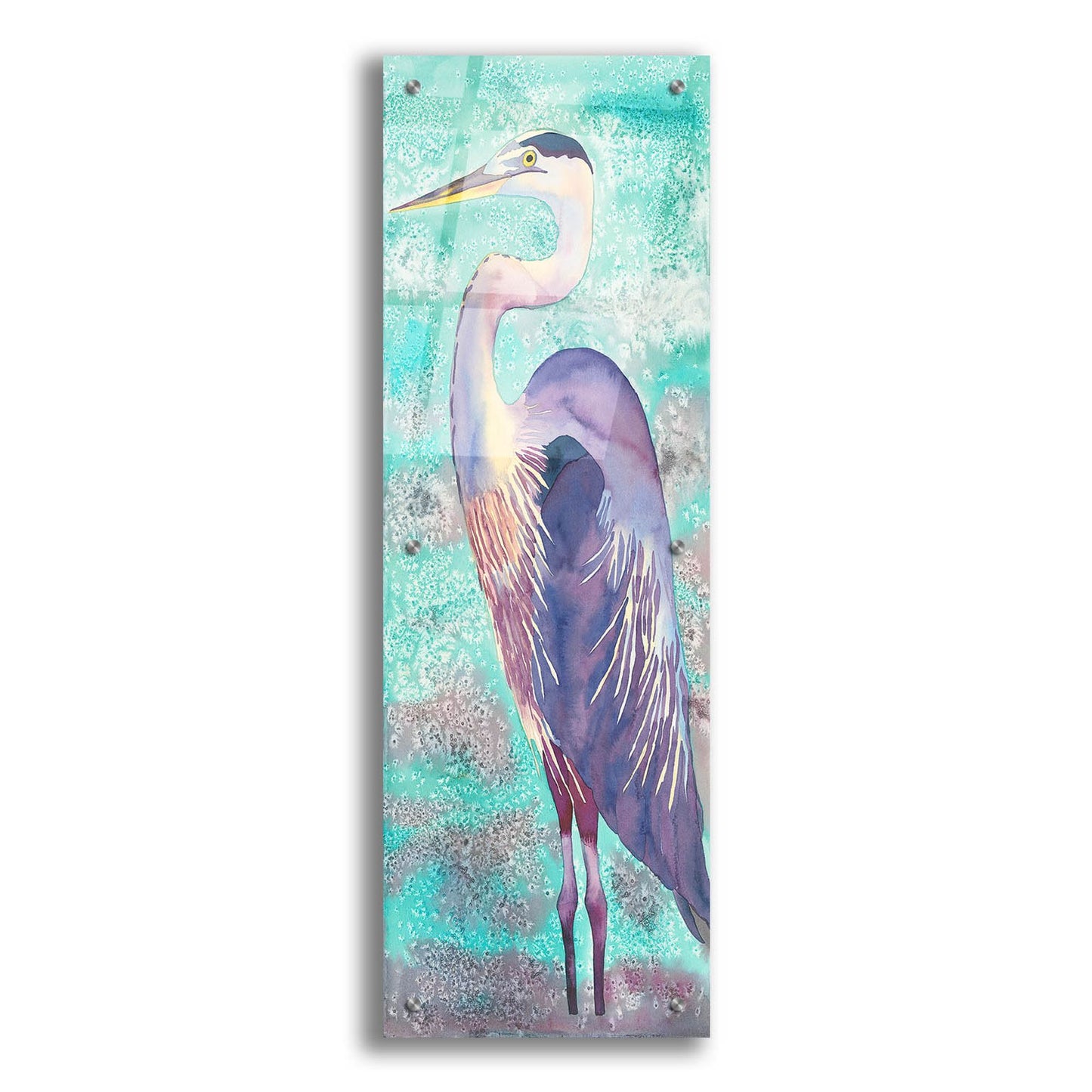 Epic Art 'Great Blue Heron' by Carissa Luminess, Acrylic Glass Wall Art,12x36