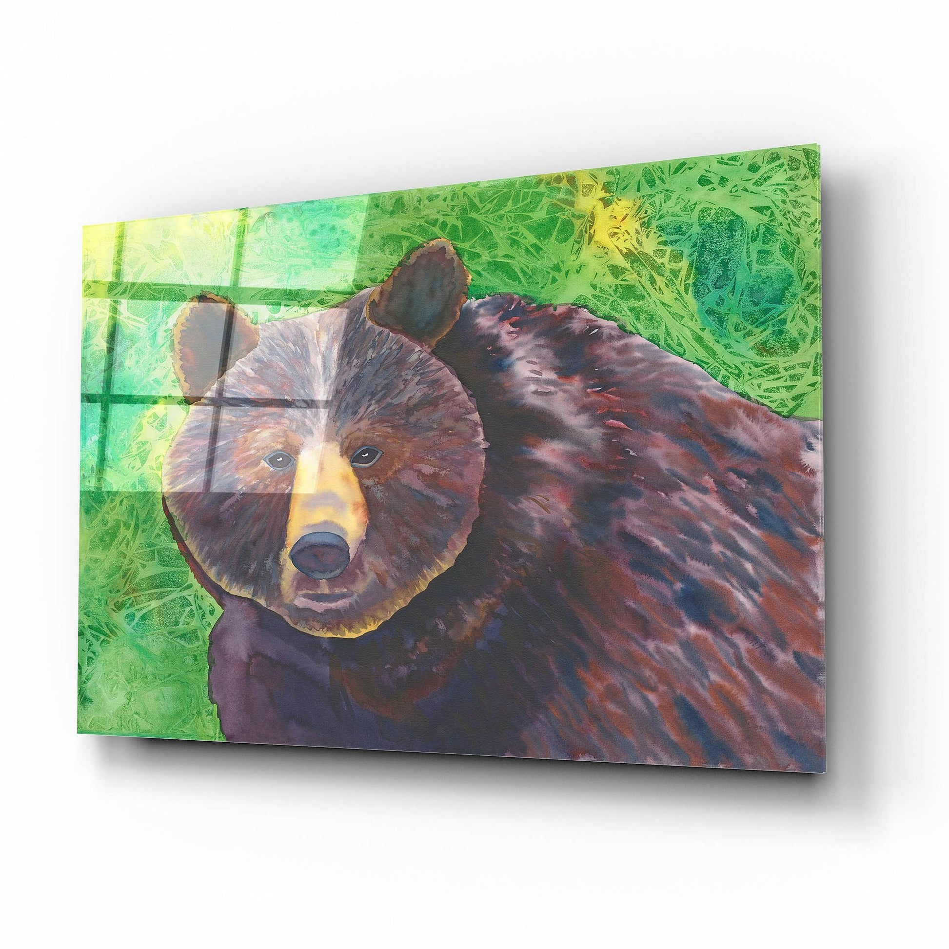 Epic Art 'Bear' by Carissa Luminess, Acrylic Glass Wall Art,16x12