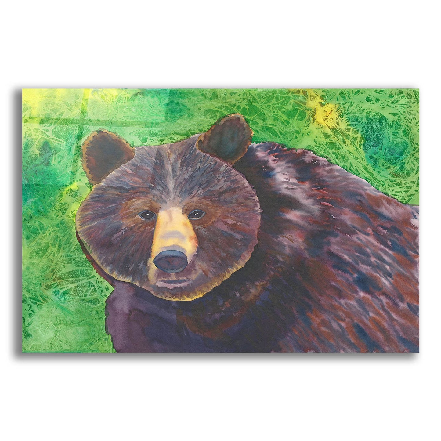 Epic Art 'Bear' by Carissa Luminess, Acrylic Glass Wall Art,16x12