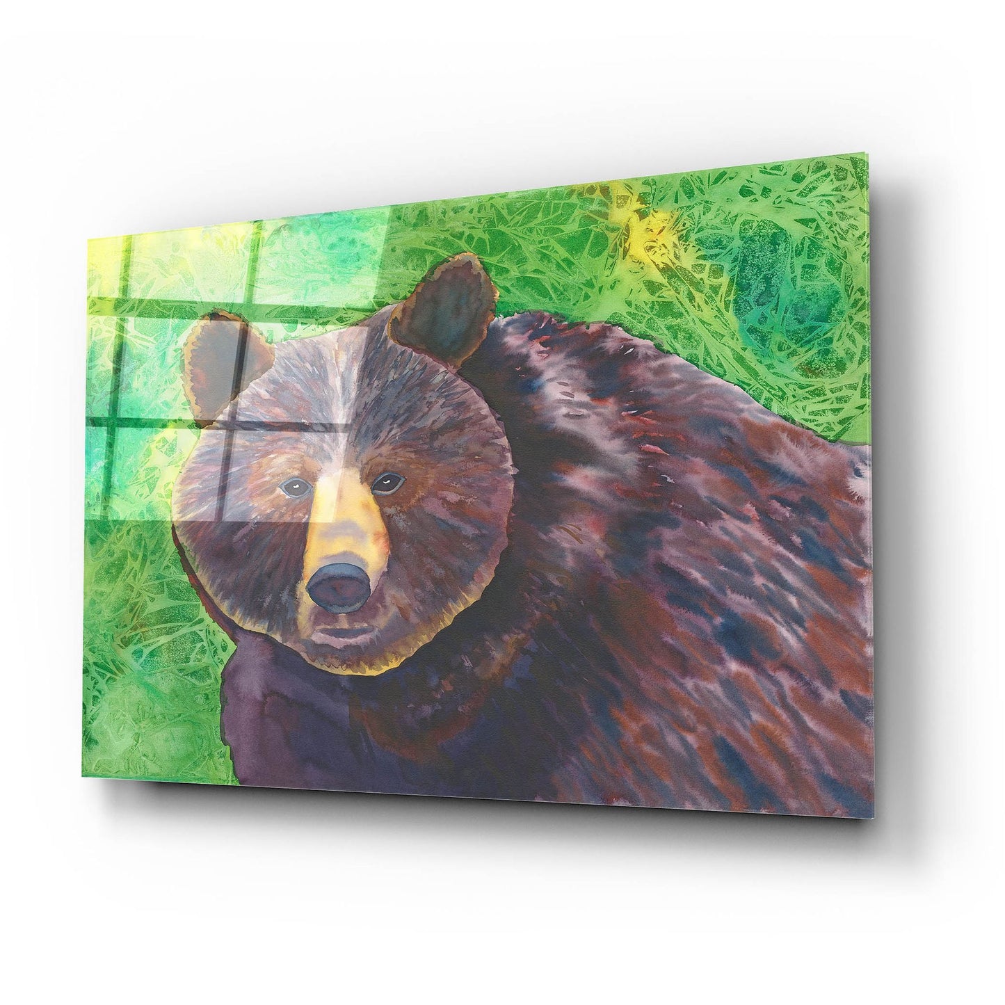 Epic Art 'Bear' by Carissa Luminess, Acrylic Glass Wall Art,24x16