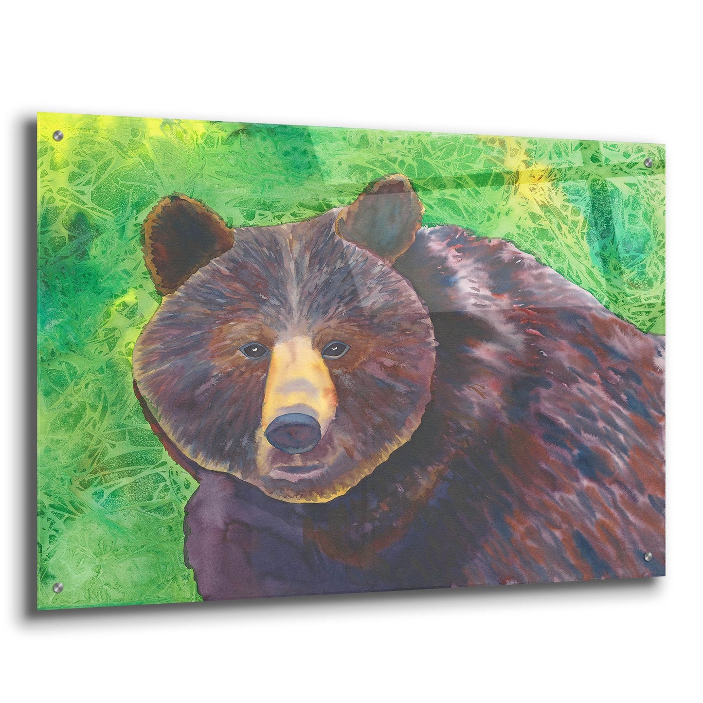 Epic Art 'Bear' by Carissa Luminess, Acrylic Glass Wall Art,36x24