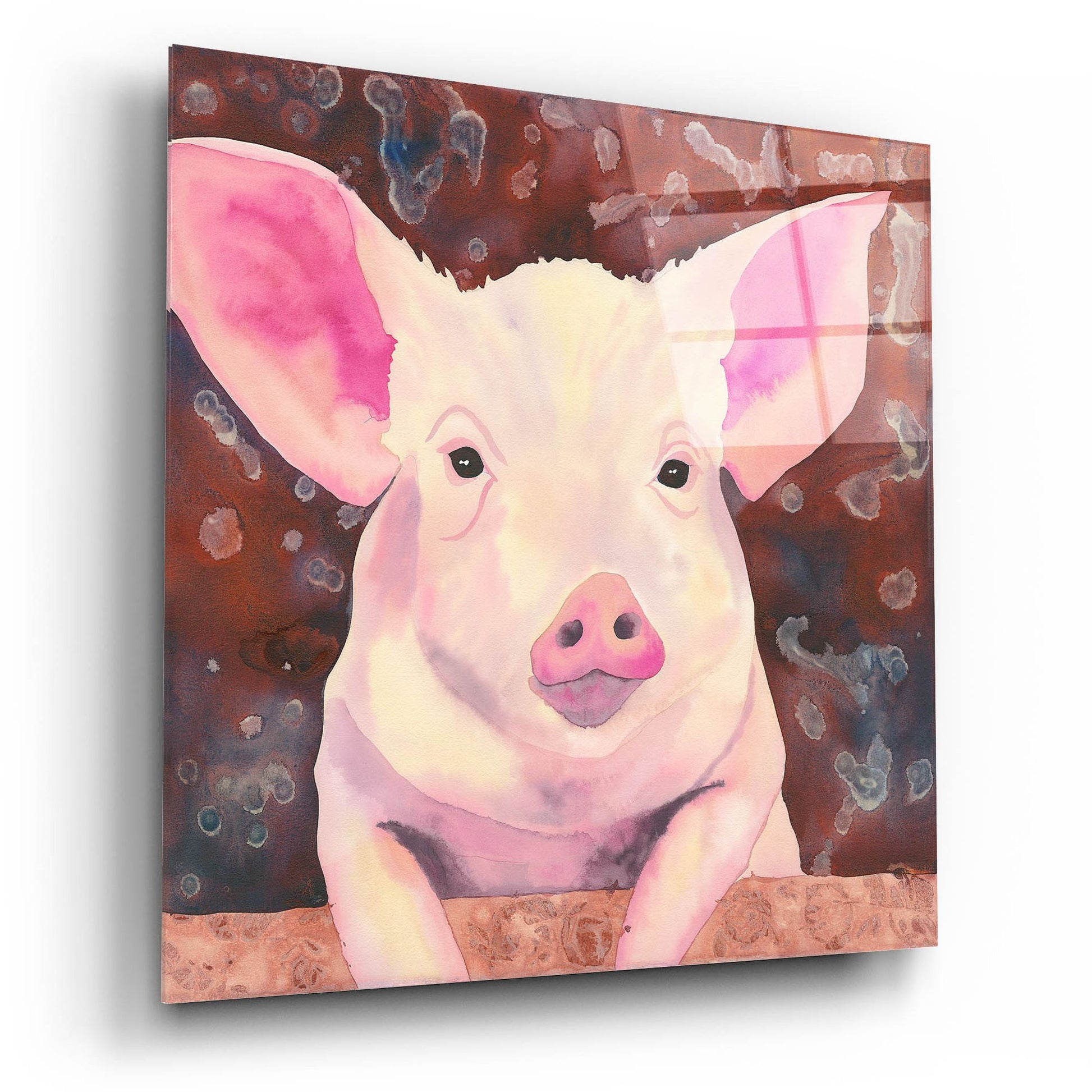 Epic Art 'Pig' by Carissa Luminess, Acrylic Glass Wall Art,12x12