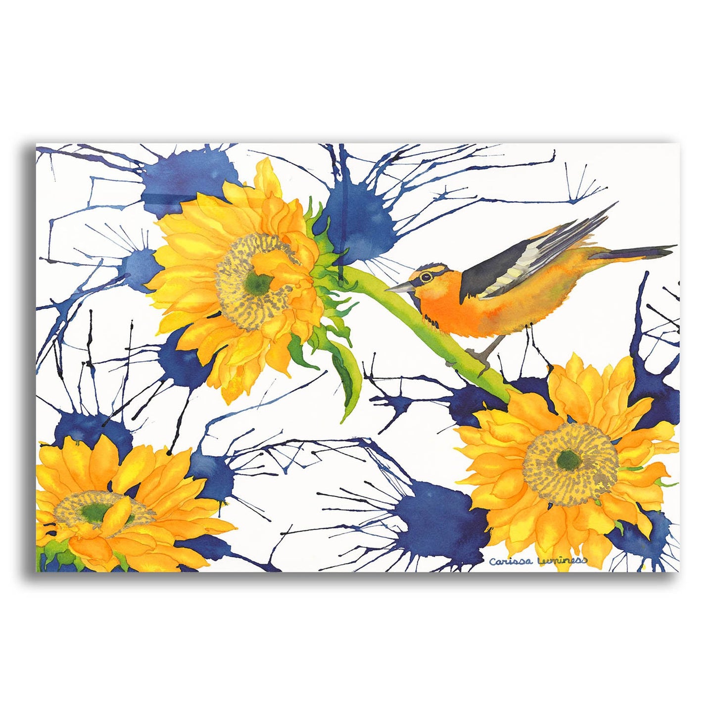 Epic Art 'Oriole with Sunflowers' by Carissa Luminess, Acrylic Glass Wall Art,24x16