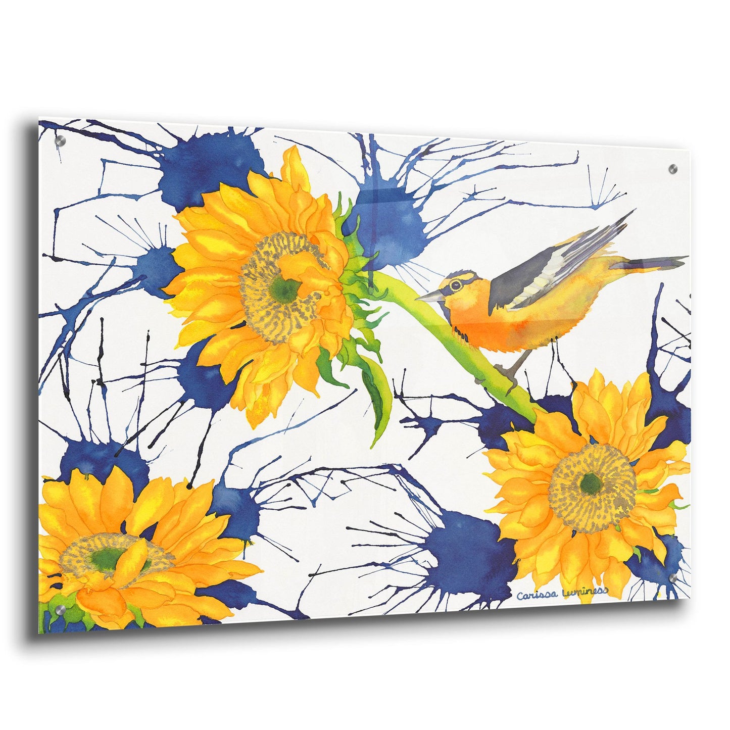 Epic Art 'Oriole with Sunflowers' by Carissa Luminess, Acrylic Glass Wall Art,36x24