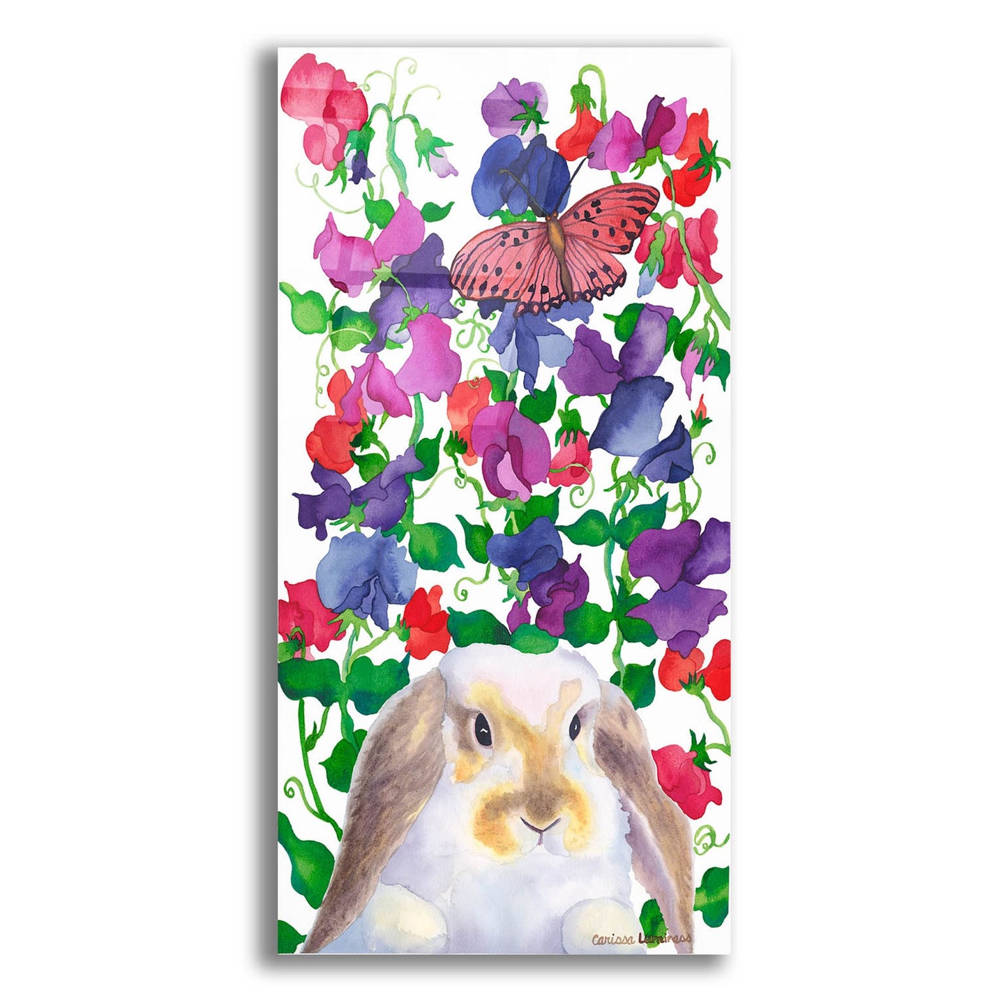 Epic Art 'Bunny Love' by Carissa Luminess, Acrylic Glass Wall Art,12x24