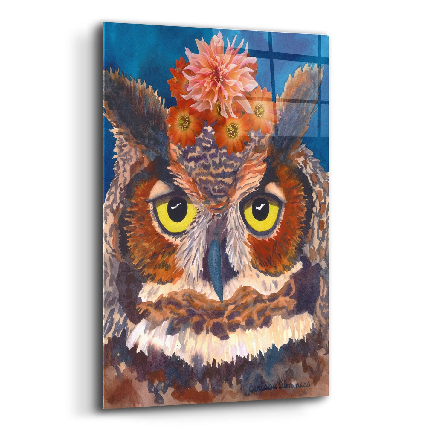 Epic Art 'Great Horned Owl' by Carissa Luminess, Acrylic Glass Wall Art,12x16