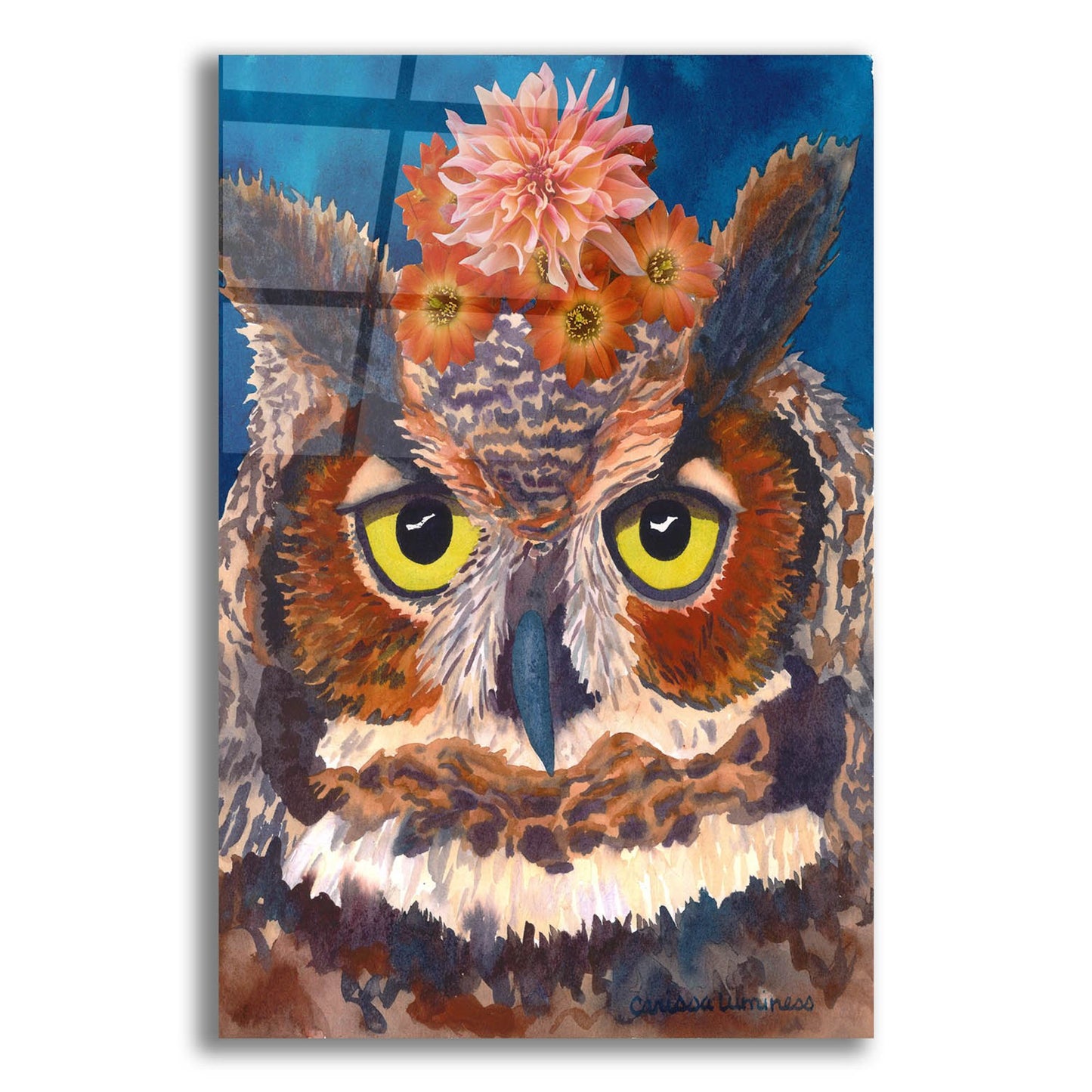 Epic Art 'Great Horned Owl' by Carissa Luminess, Acrylic Glass Wall Art,12x16