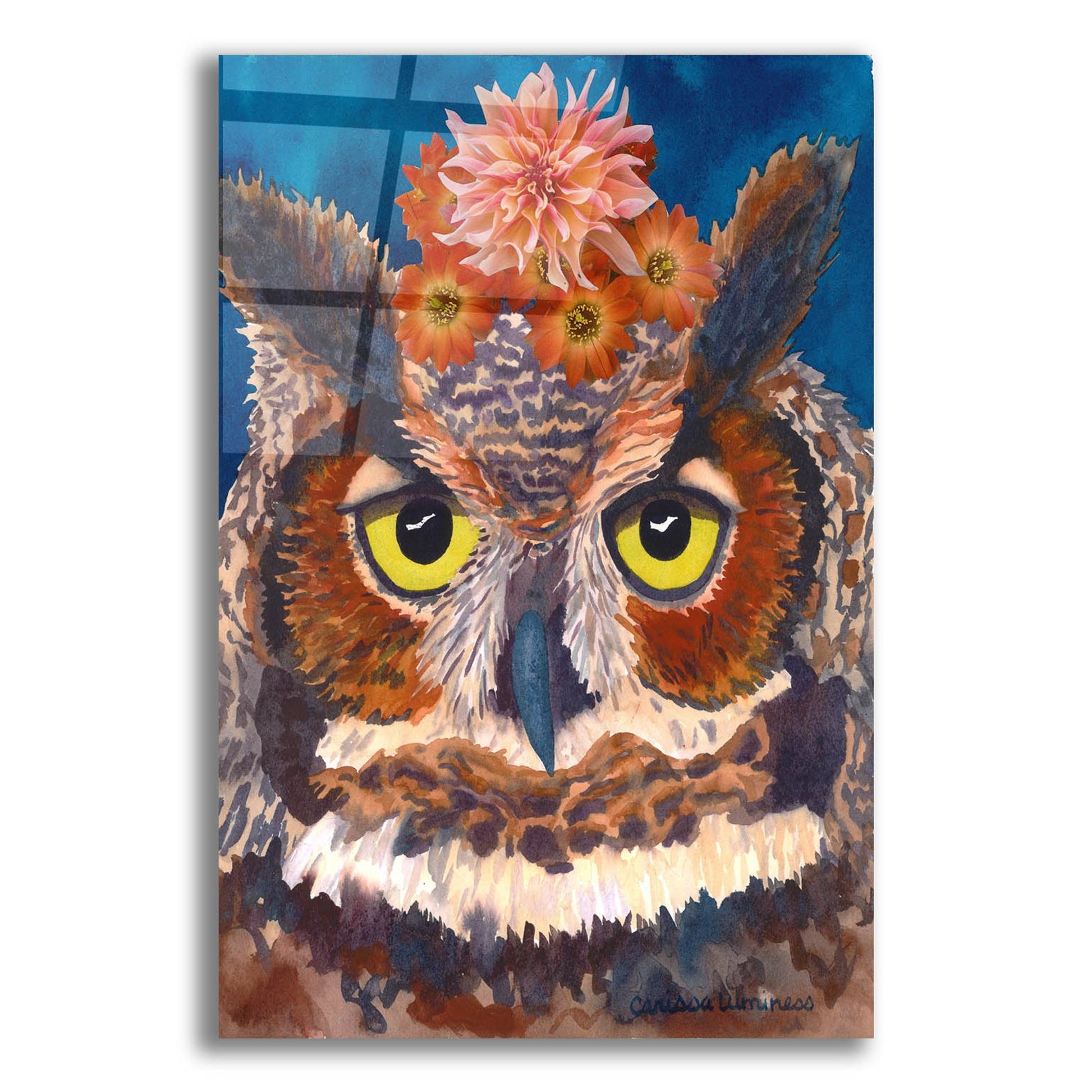 Epic Art 'Great Horned Owl' by Carissa Luminess, Acrylic Glass Wall Art,12x16