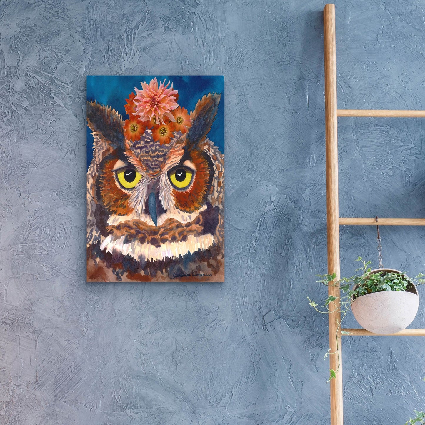 Epic Art 'Great Horned Owl' by Carissa Luminess, Acrylic Glass Wall Art,16x24