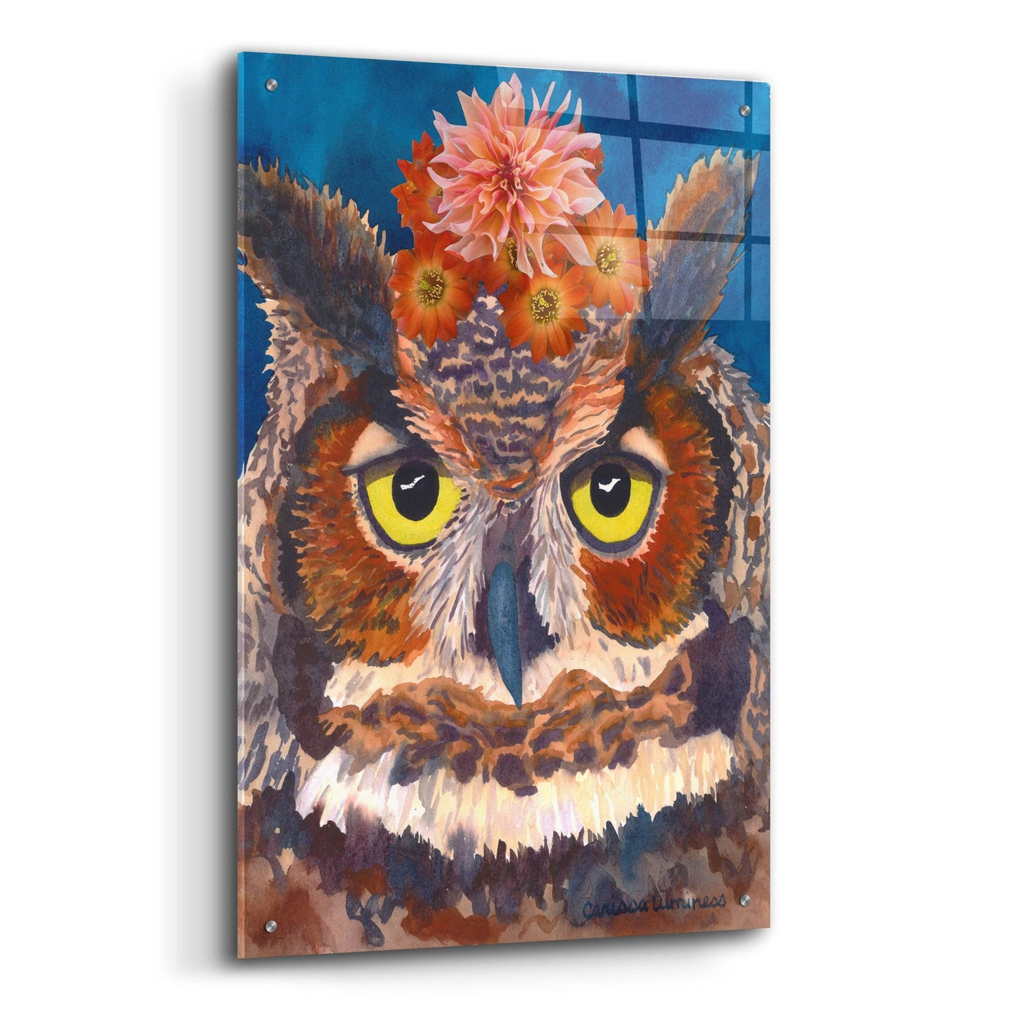 Epic Art 'Great Horned Owl' by Carissa Luminess, Acrylic Glass Wall Art,24x36