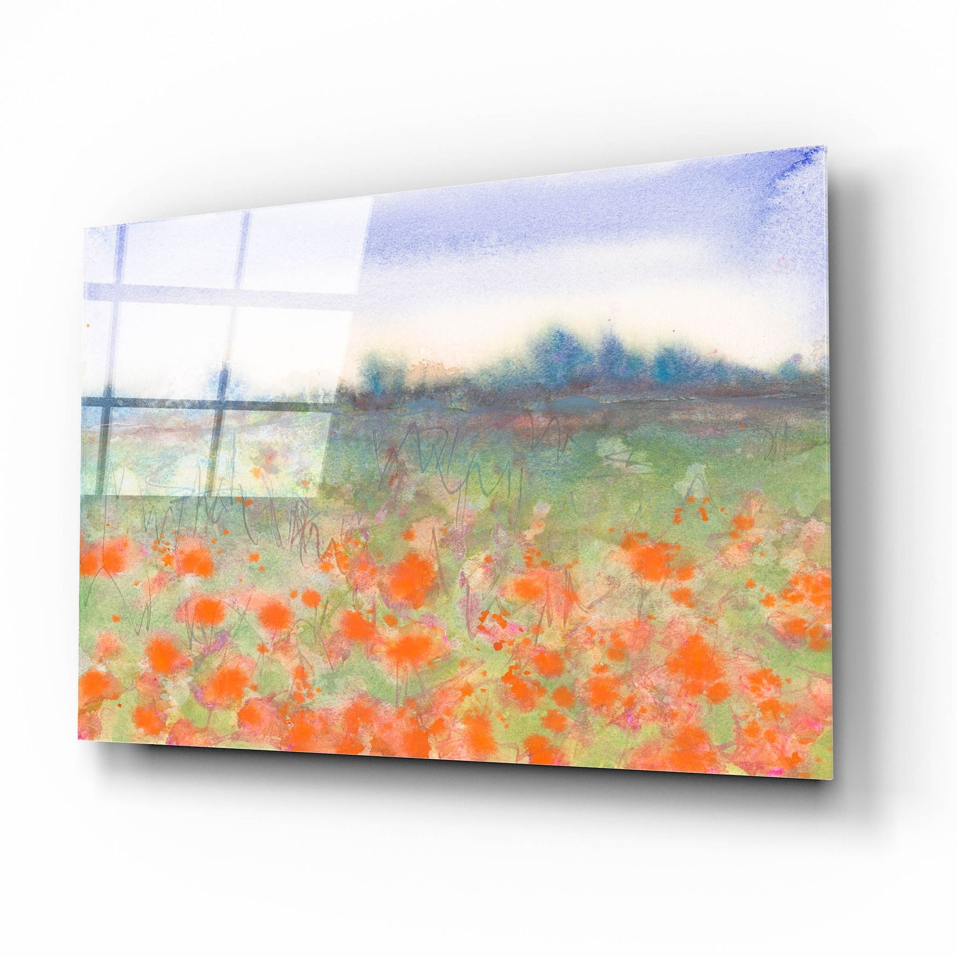 Epic Art 'Poppy Meadow' by Carissa Luminess, Acrylic Glass Wall Art,16x12