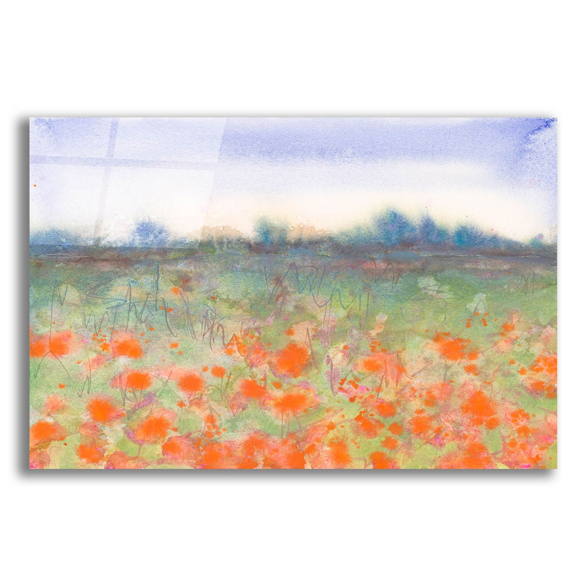 Epic Art 'Poppy Meadow' by Carissa Luminess, Acrylic Glass Wall Art,16x12