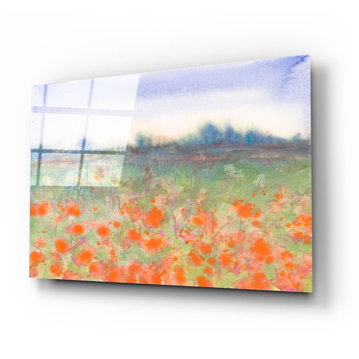 Epic Art 'Poppy Meadow' by Carissa Luminess, Acrylic Glass Wall Art,24x16