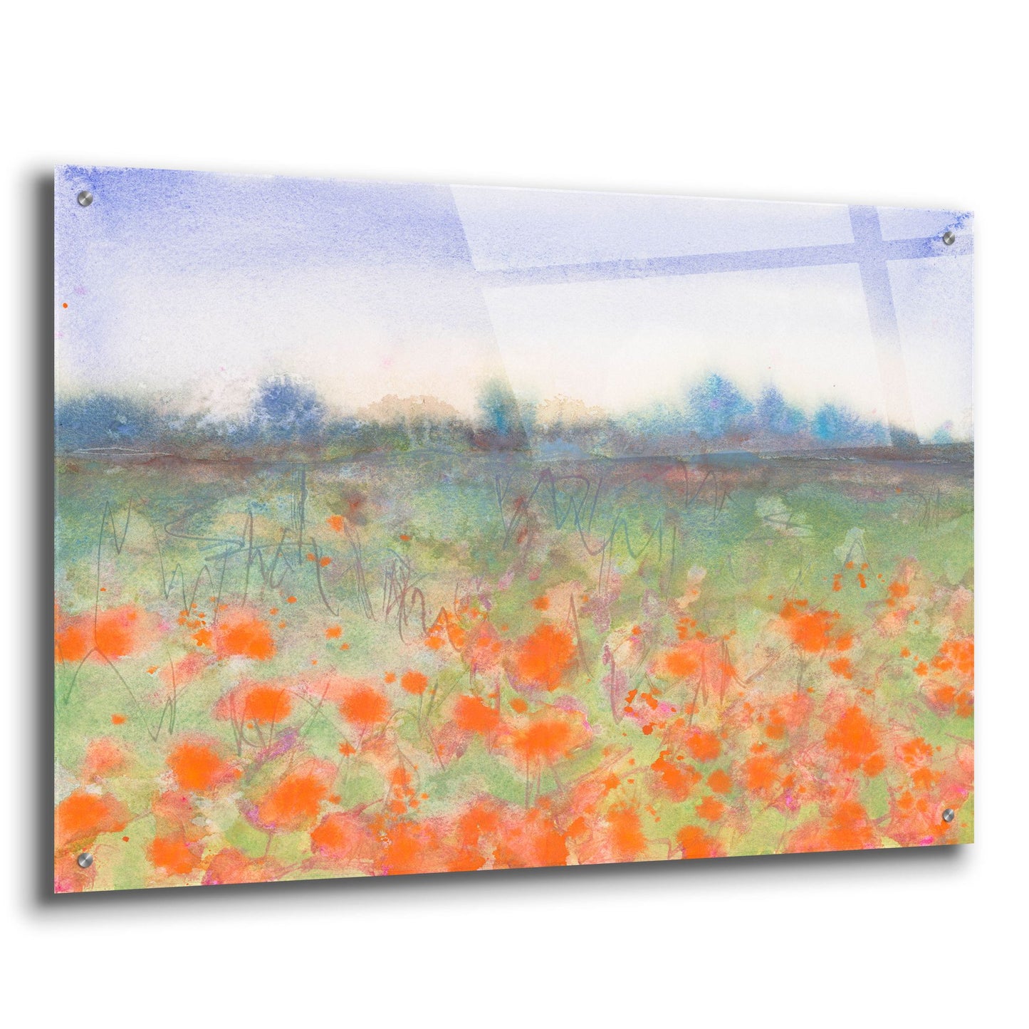 Epic Art 'Poppy Meadow' by Carissa Luminess, Acrylic Glass Wall Art,36x24