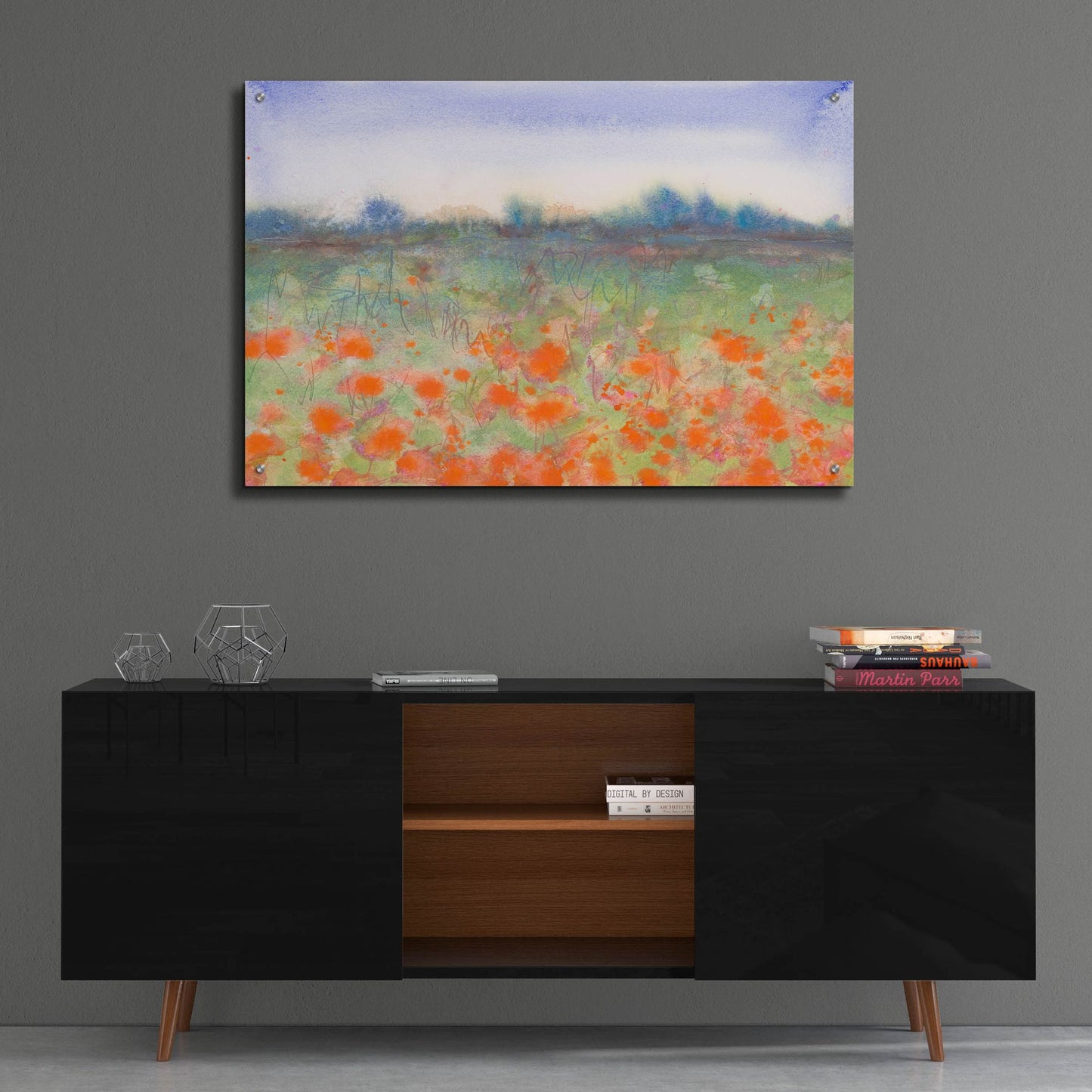 Epic Art 'Poppy Meadow' by Carissa Luminess, Acrylic Glass Wall Art,36x24