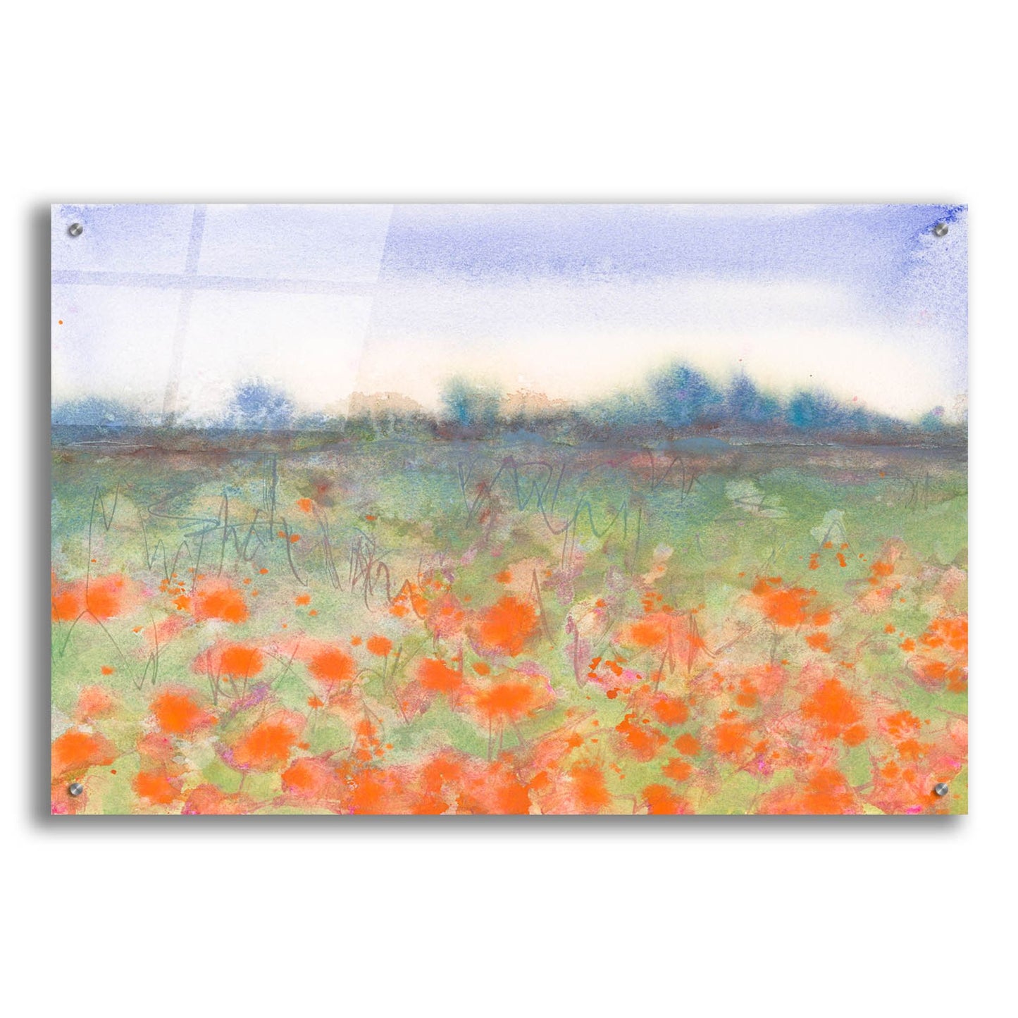 Epic Art 'Poppy Meadow' by Carissa Luminess, Acrylic Glass Wall Art,36x24