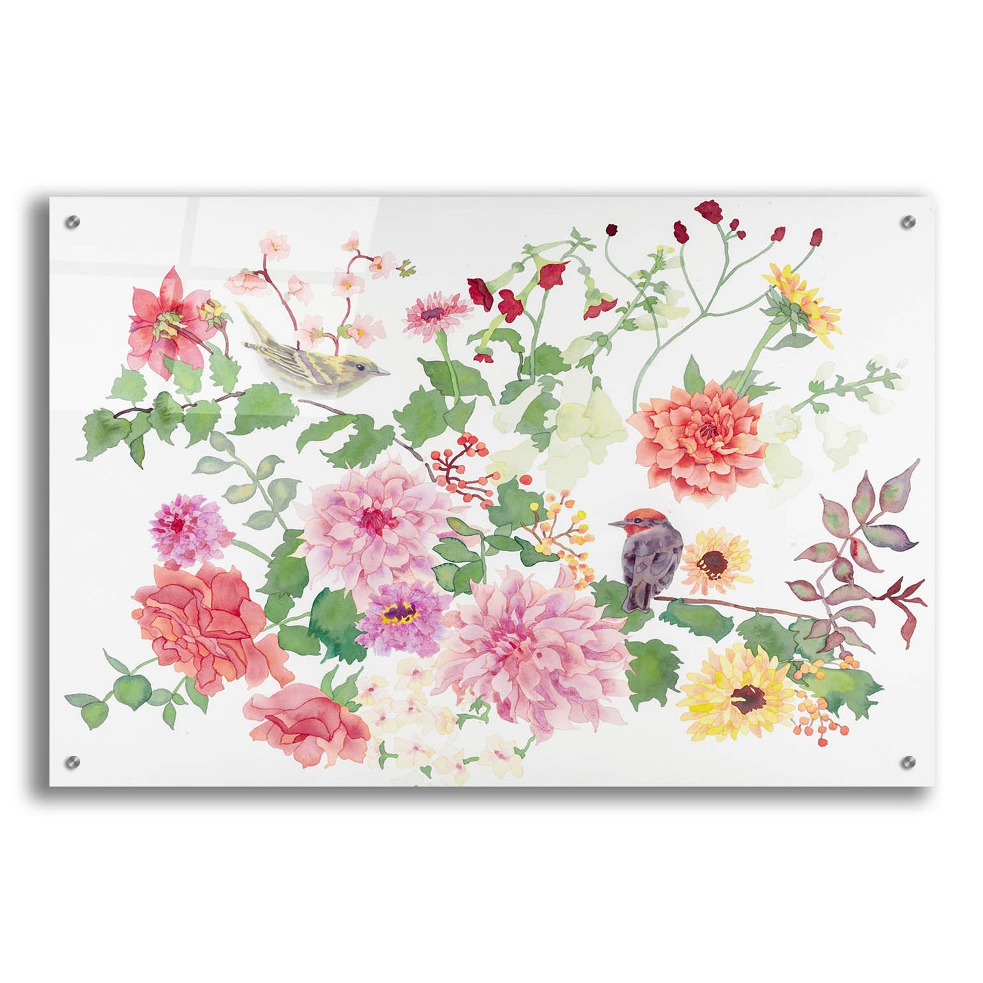 Epic Art 'Songbirds With Dhalias' by Carissa Luminess, Acrylic Glass Wall Art,36x24