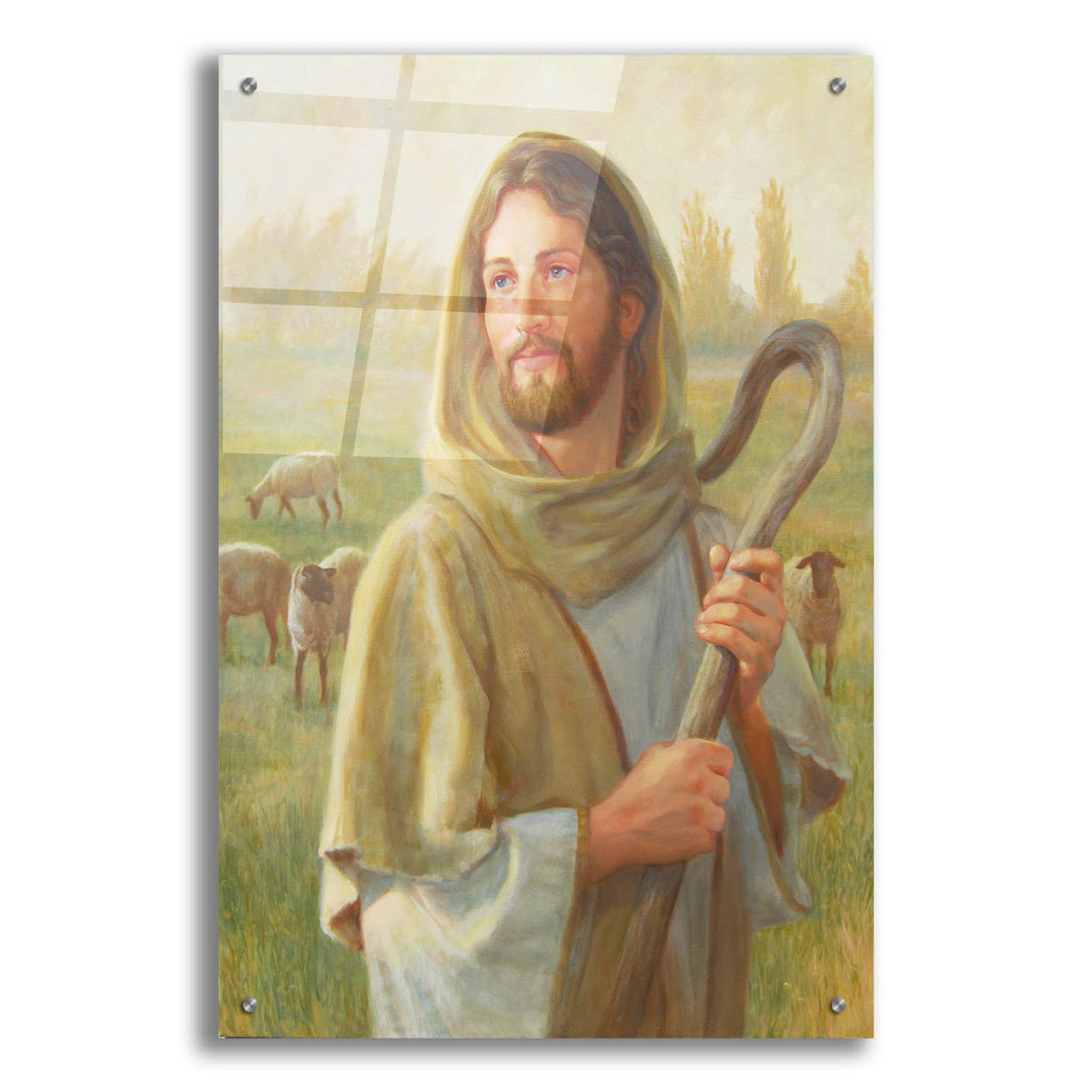 Epic Art 'Looking For The One' by David Lindsley, Acrylic Glass Wall Art