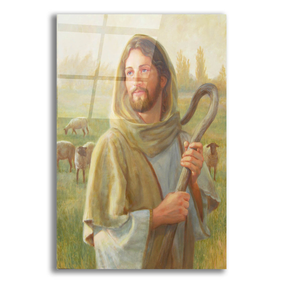 Epic Art 'Looking For The One' by David Lindsley, Acrylic Glass Wall Art