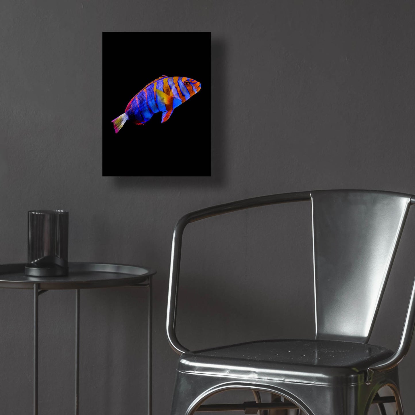 Epic Art 'Australian Harlequin Tuskfish' by Epic Portfolio, Acrylic Glass Wall Art,12x16