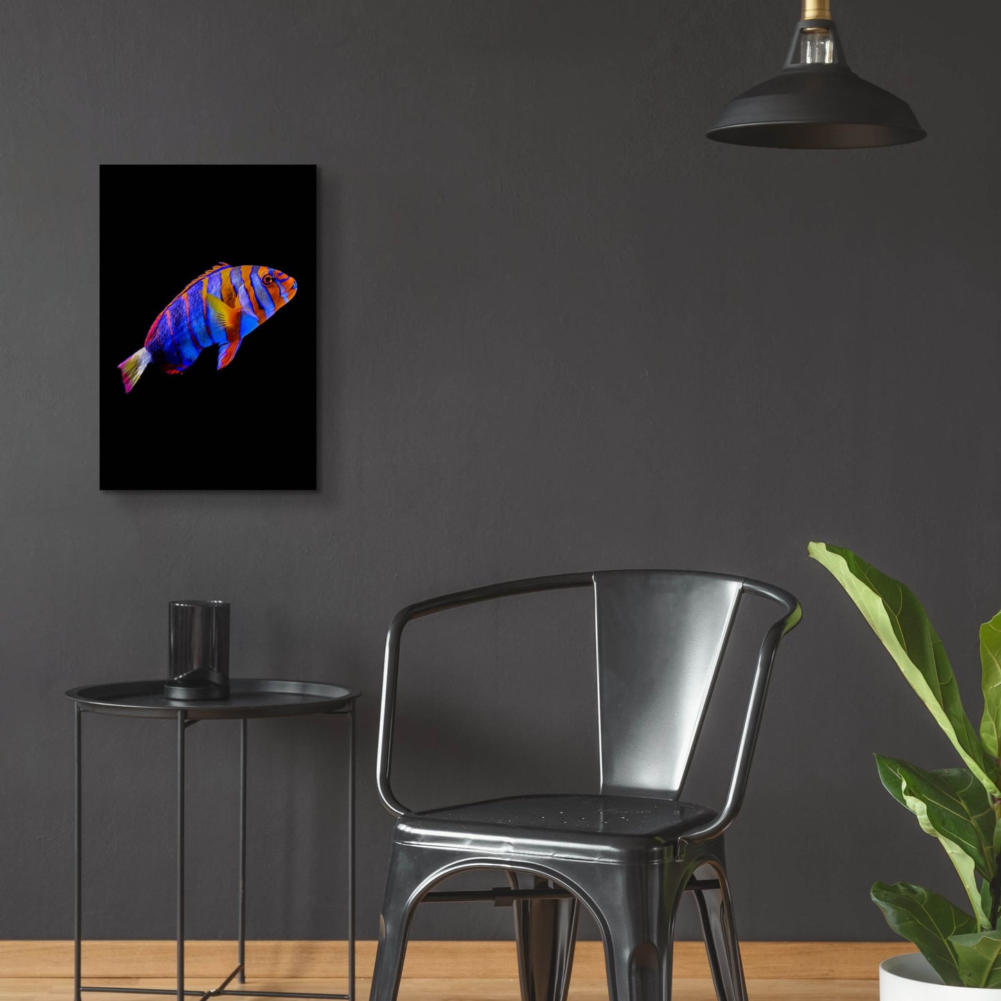 Epic Art 'Australian Harlequin Tuskfish' by Epic Portfolio, Acrylic Glass Wall Art,16x24