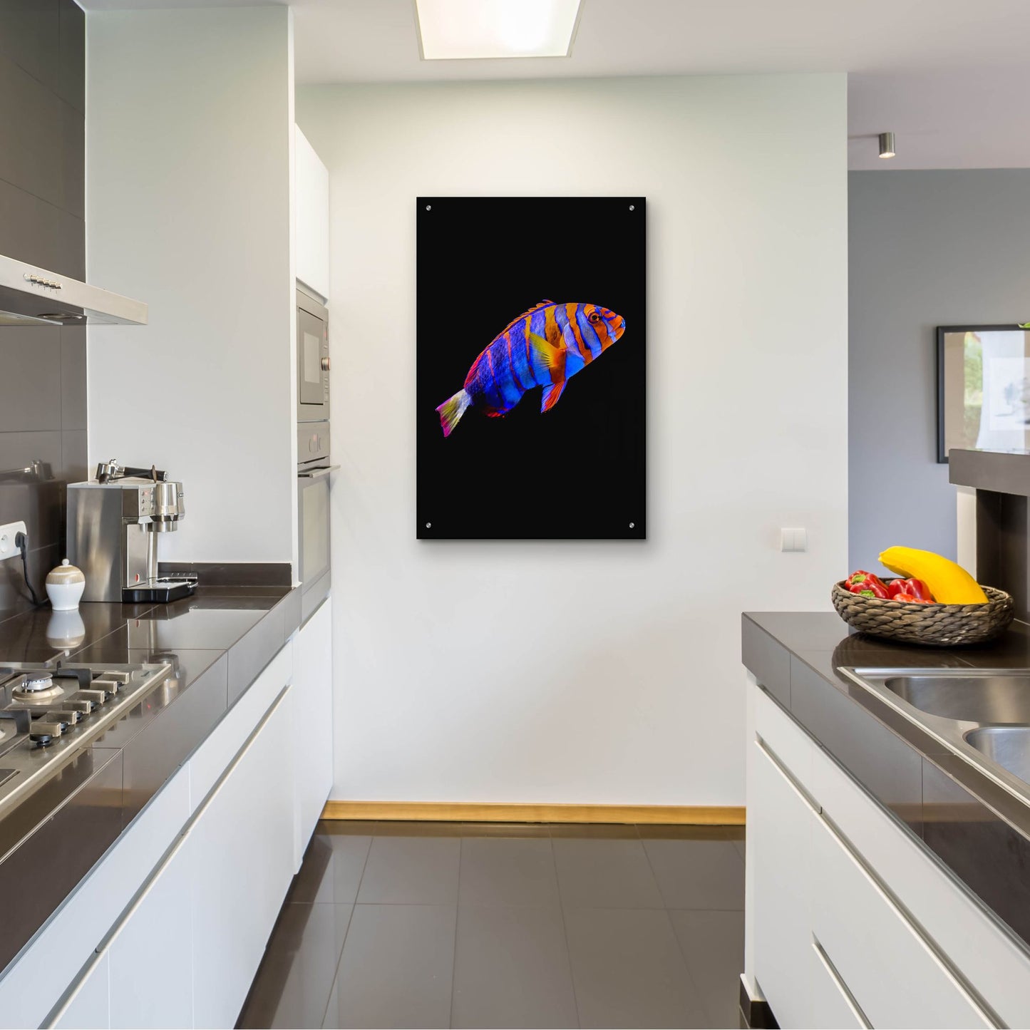 Epic Art 'Australian Harlequin Tuskfish' by Epic Portfolio, Acrylic Glass Wall Art,24x36