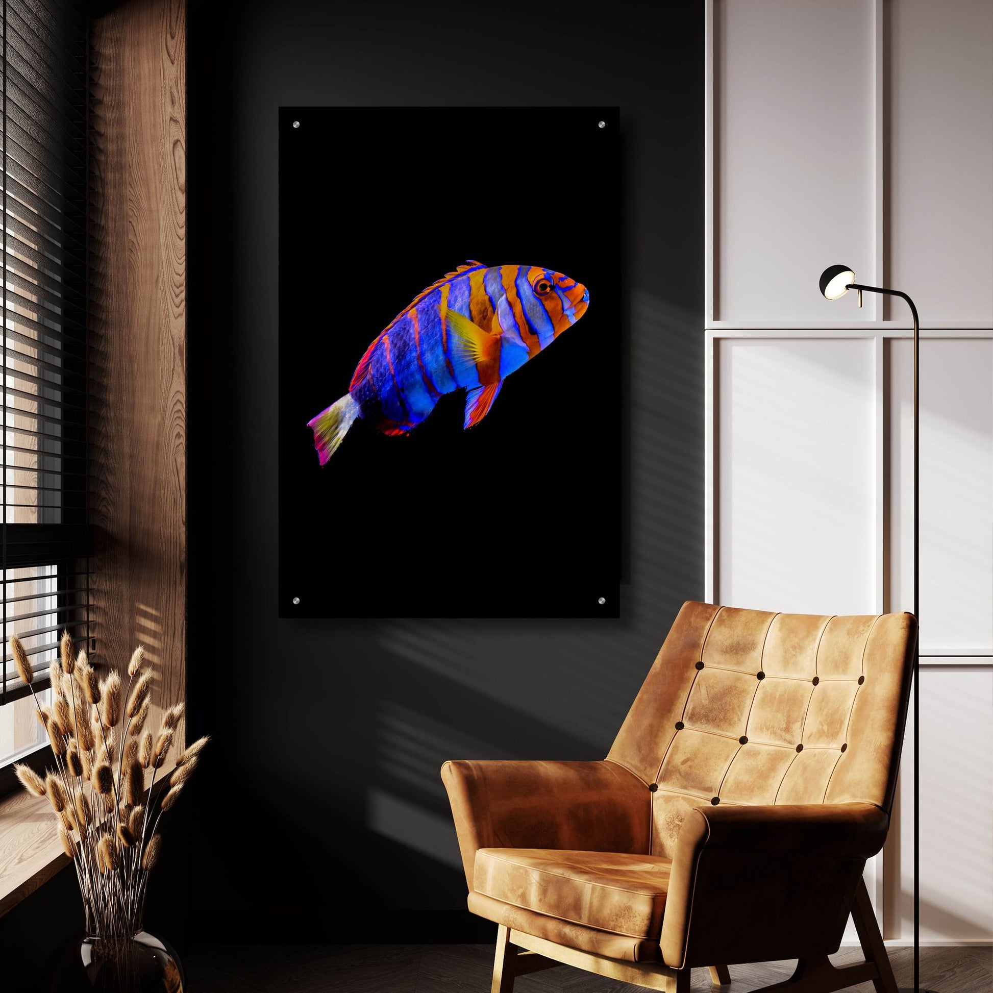 Epic Art 'Australian Harlequin Tuskfish' by Epic Portfolio, Acrylic Glass Wall Art,24x36