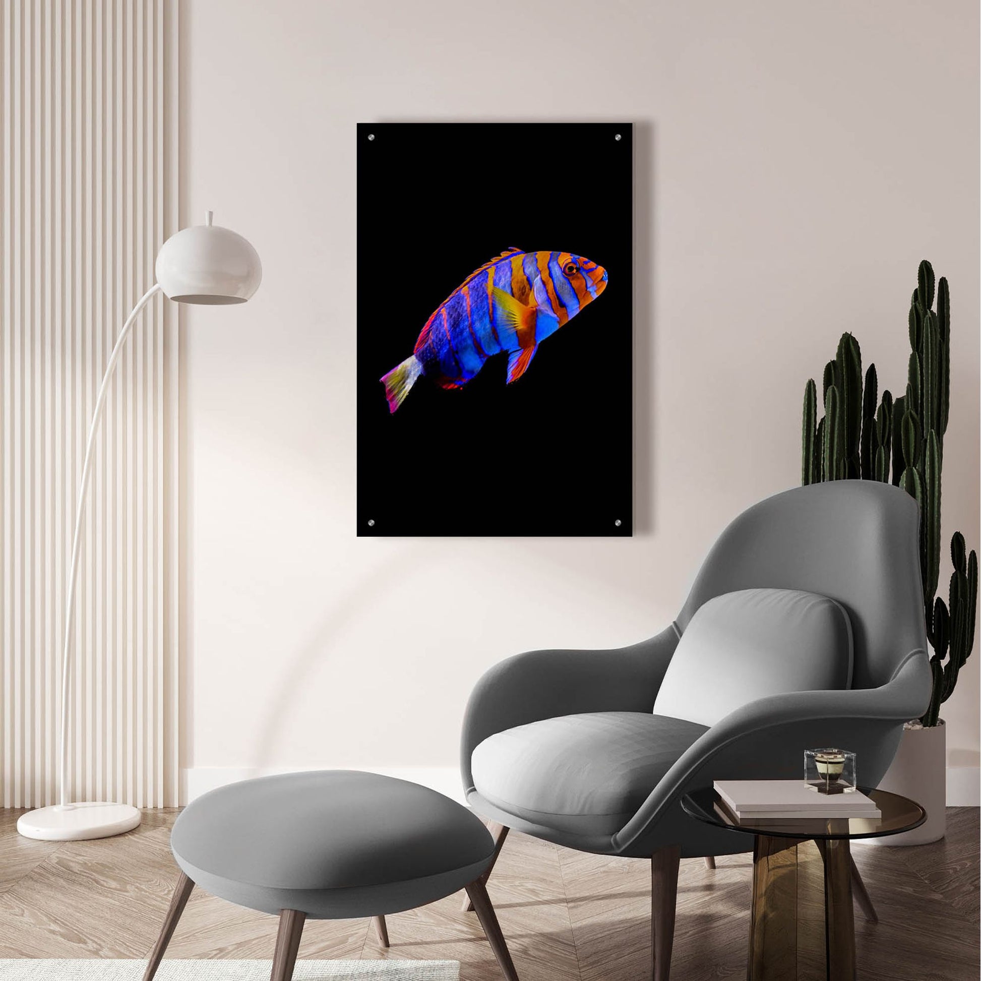 Epic Art 'Australian Harlequin Tuskfish' by Epic Portfolio, Acrylic Glass Wall Art,24x36