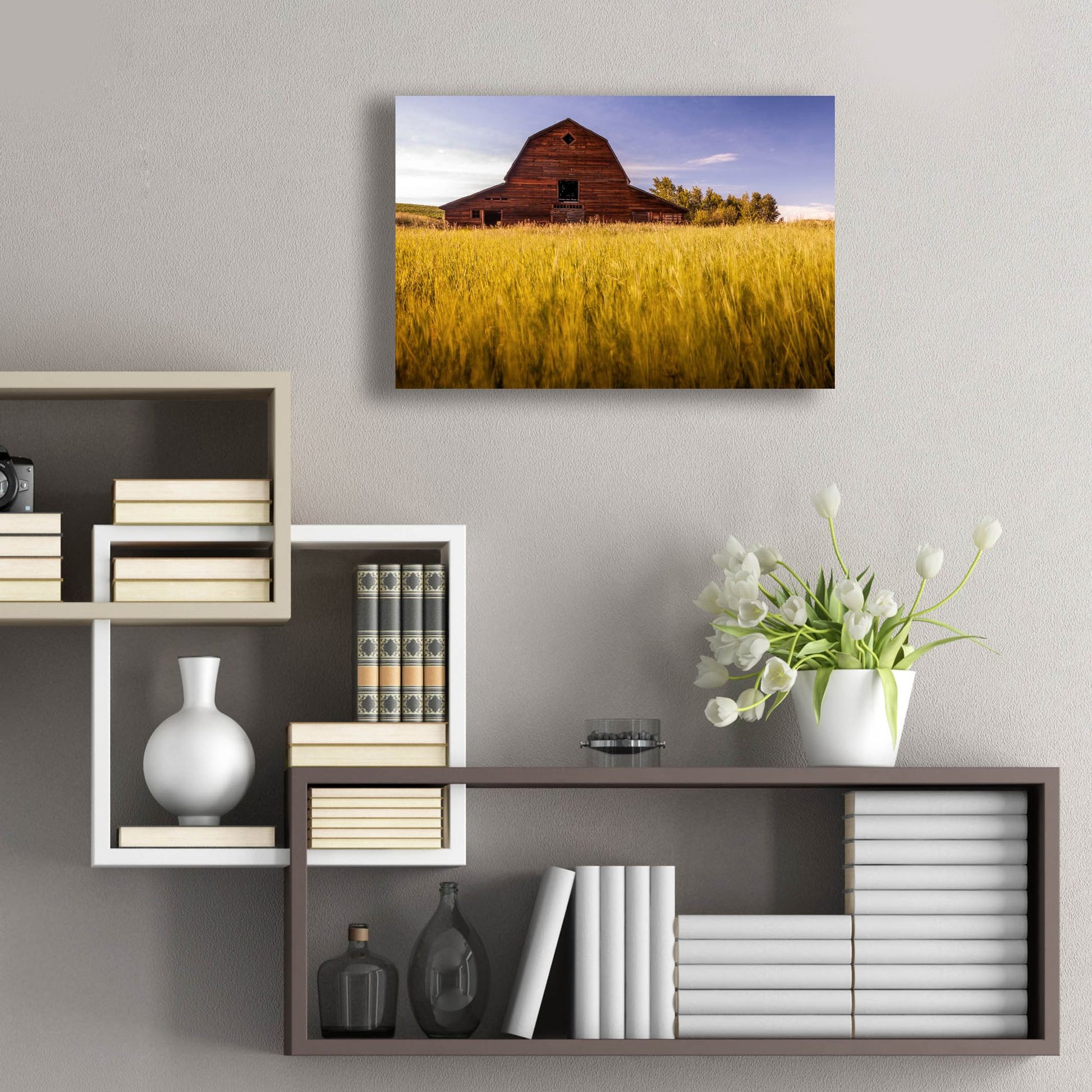 Epic Art 'Barn Sunset 1' by Joe Reimer Photography, Acrylic Glass Wall Art,24x16