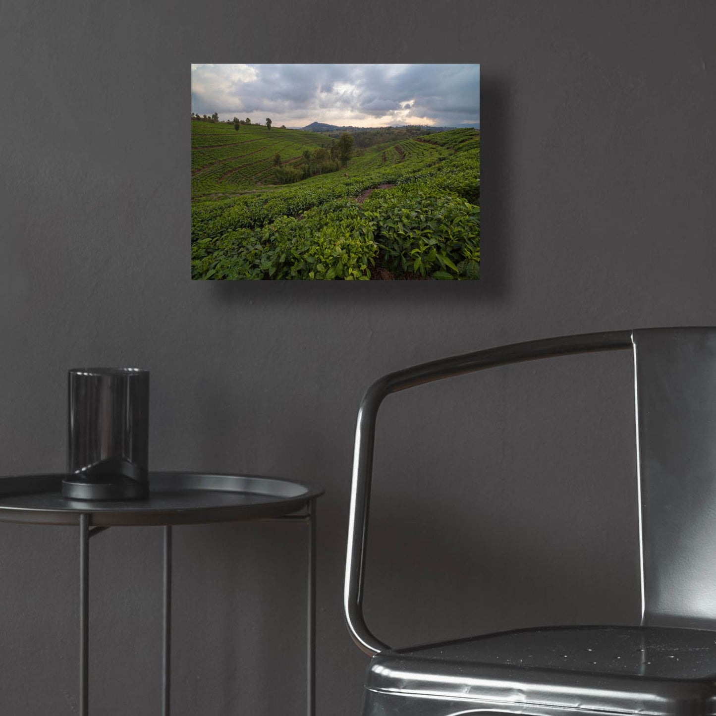 Epic Art 'Burundi Tea Field' by Joe Reimer Photography, Acrylic Glass Wall Art,16x12