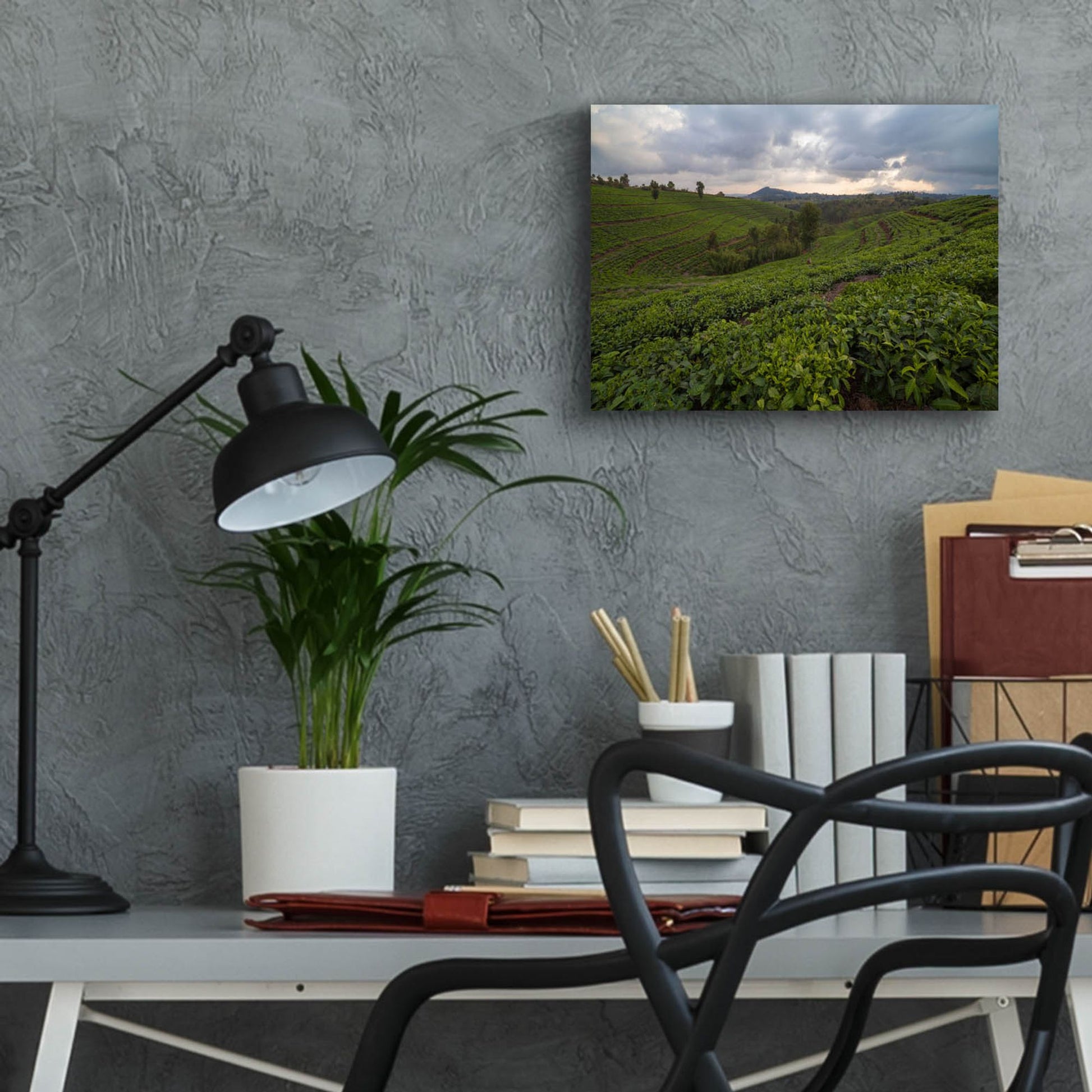 Epic Art 'Burundi Tea Field' by Joe Reimer Photography, Acrylic Glass Wall Art,16x12