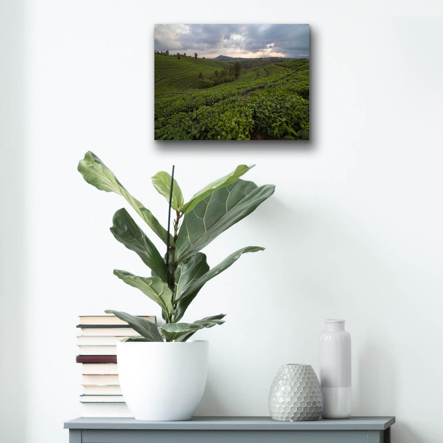 Epic Art 'Burundi Tea Field' by Joe Reimer Photography, Acrylic Glass Wall Art,16x12