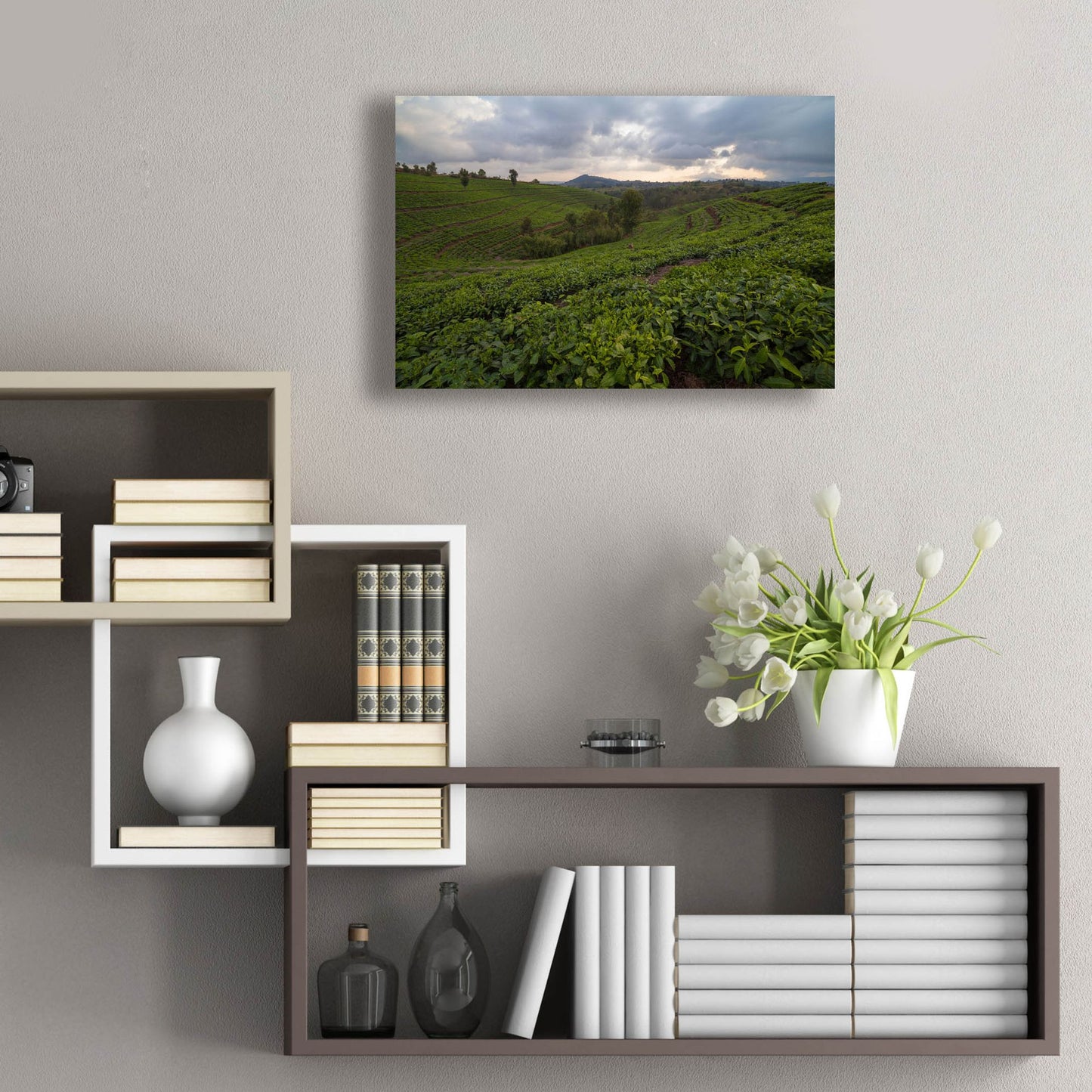 Epic Art 'Burundi Tea Field' by Joe Reimer Photography, Acrylic Glass Wall Art,24x16