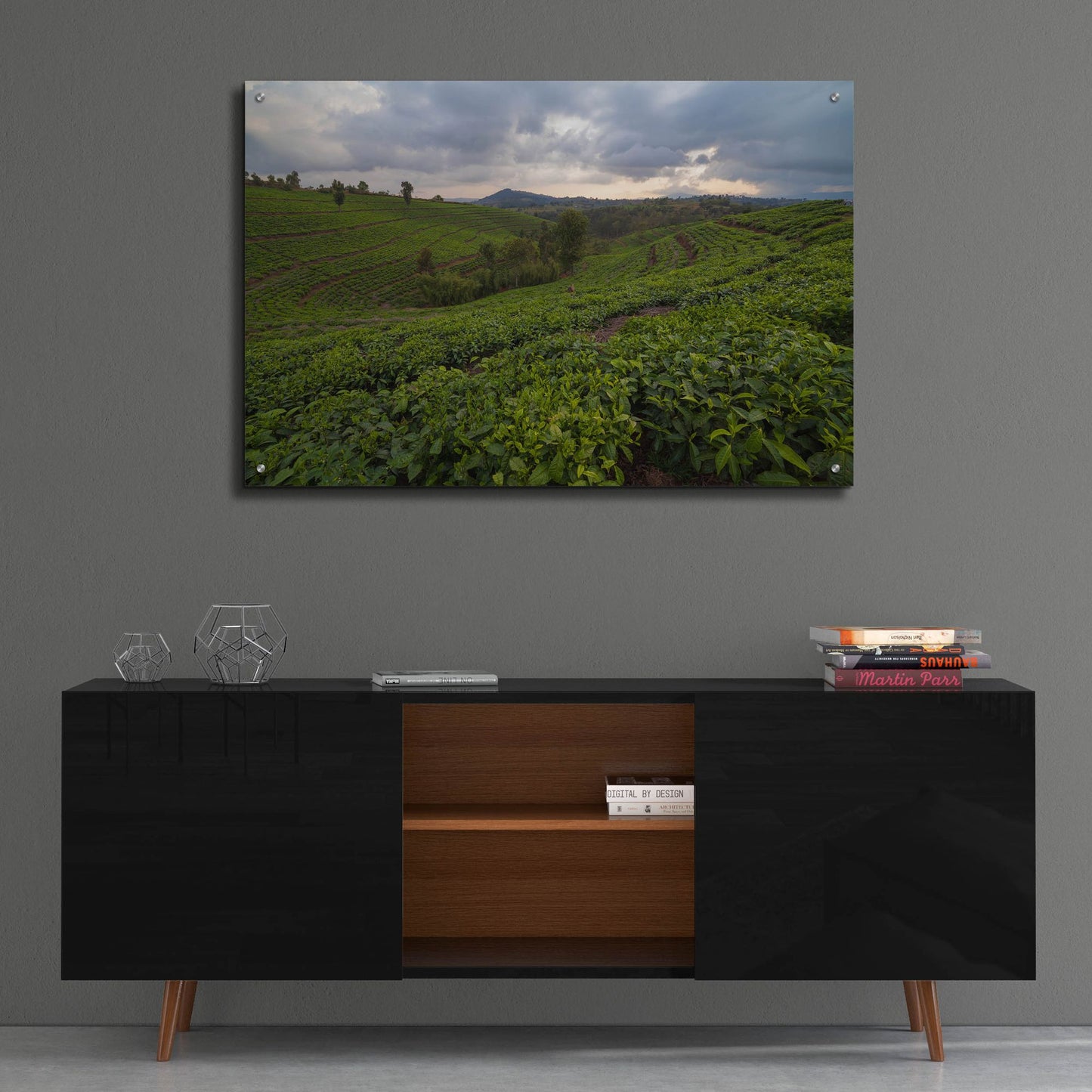 Epic Art 'Burundi Tea Field' by Joe Reimer Photography, Acrylic Glass Wall Art,36x24