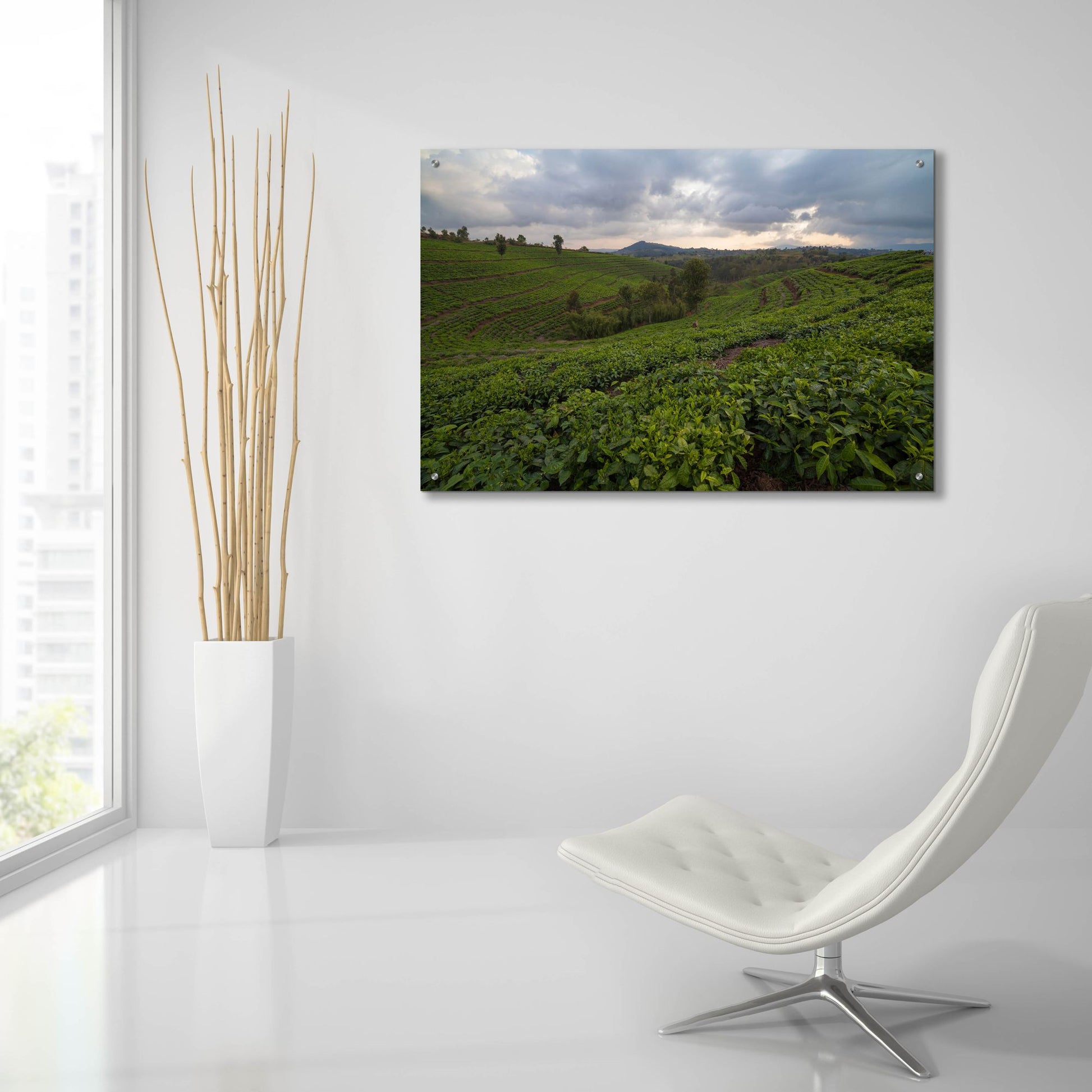 Epic Art 'Burundi Tea Field' by Joe Reimer Photography, Acrylic Glass Wall Art,36x24