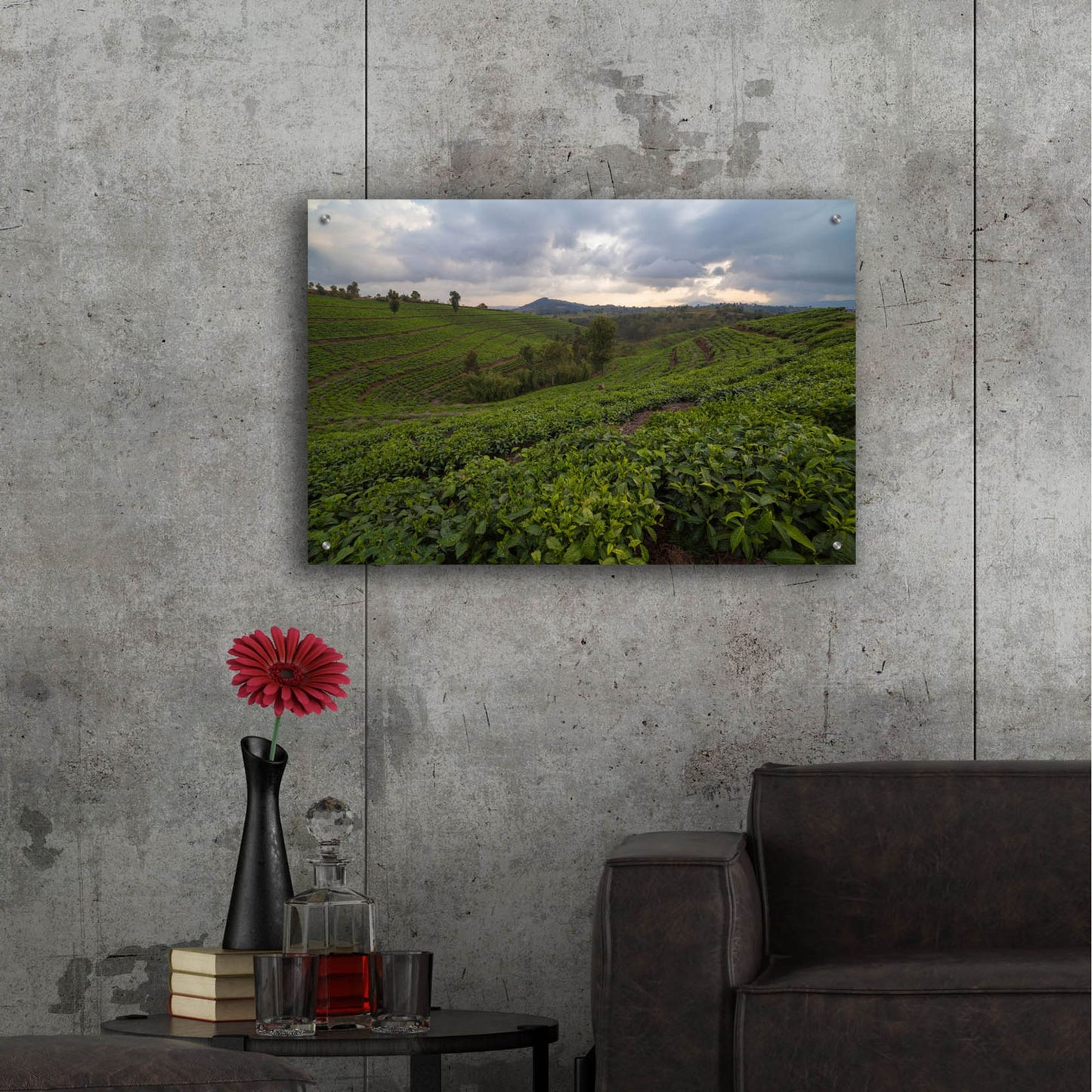 Epic Art 'Burundi Tea Field' by Joe Reimer Photography, Acrylic Glass Wall Art,36x24