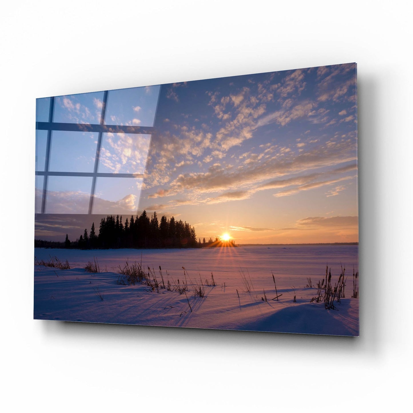 Epic Art 'Elk Island 3' by Joe Reimer Photography, Acrylic Glass Wall Art,16x12