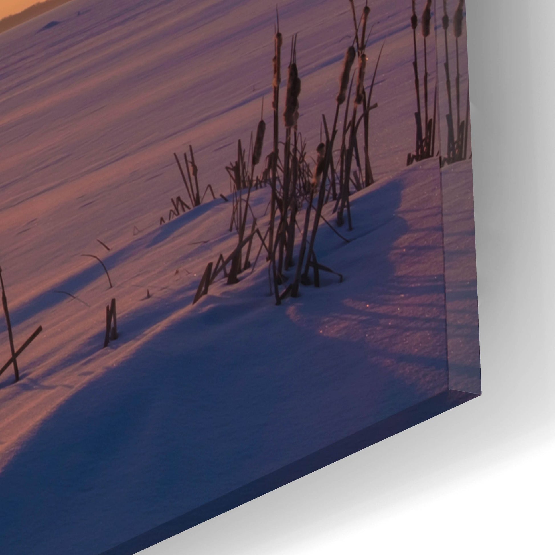 Epic Art 'Elk Island 3' by Joe Reimer Photography, Acrylic Glass Wall Art,16x12