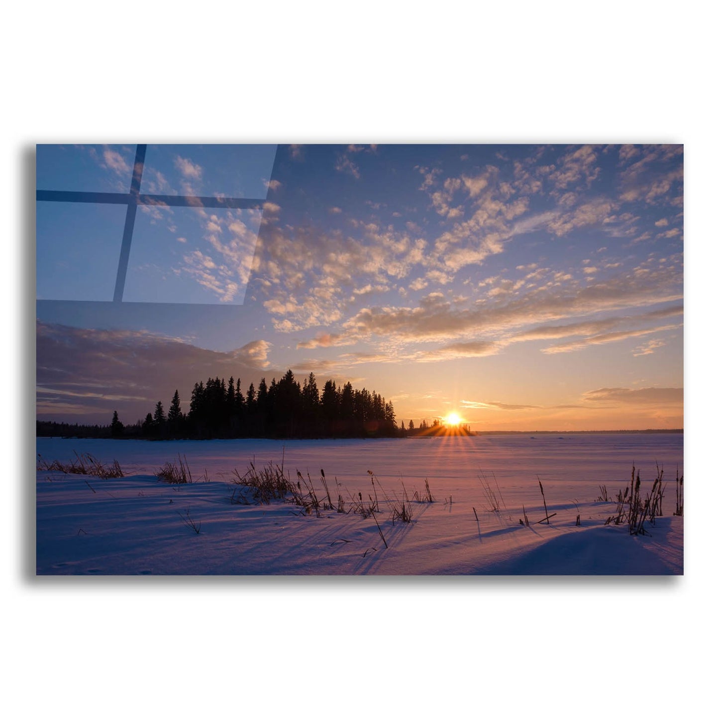 Epic Art 'Elk Island 3' by Joe Reimer Photography, Acrylic Glass Wall Art,16x12