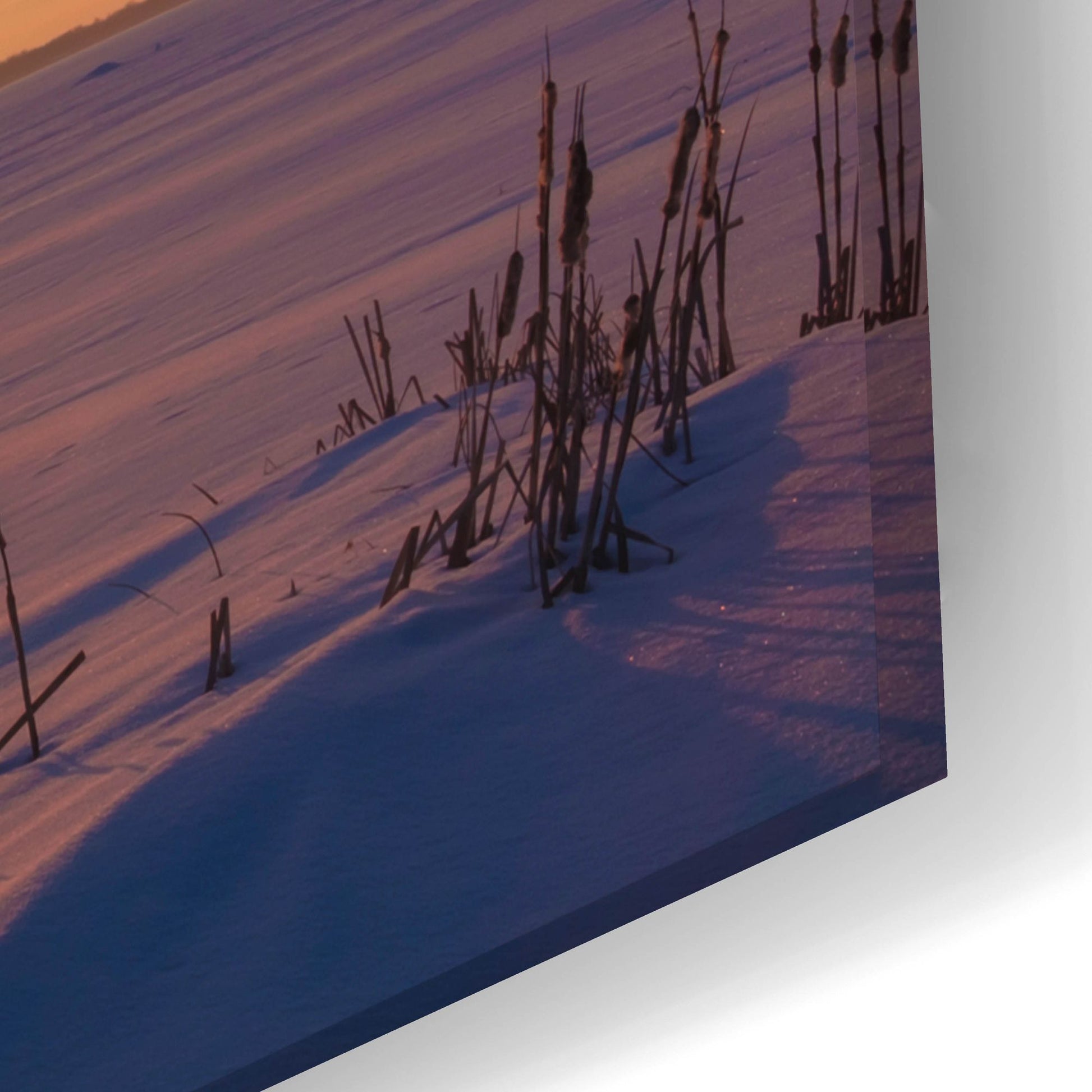 Epic Art 'Elk Island 3' by Joe Reimer Photography, Acrylic Glass Wall Art,24x16