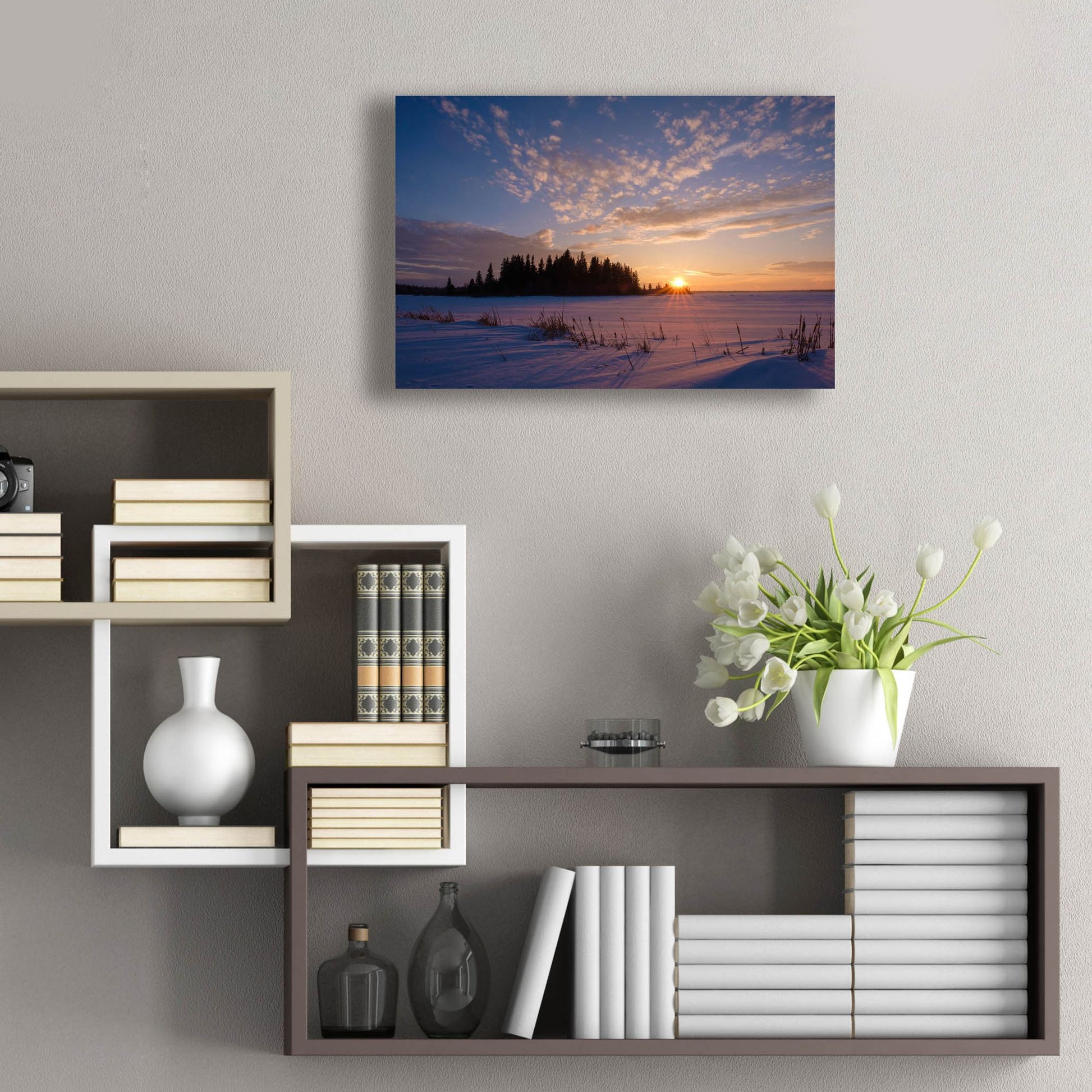 Epic Art 'Elk Island 3' by Joe Reimer Photography, Acrylic Glass Wall Art,24x16