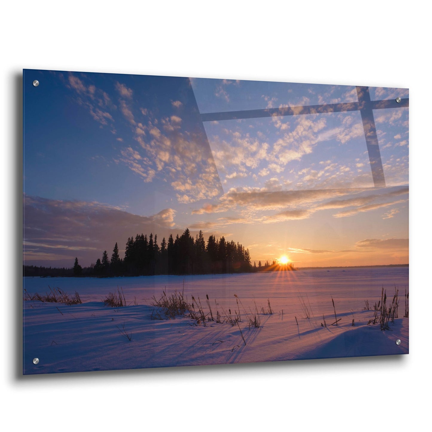 Epic Art 'Elk Island 3' by Joe Reimer Photography, Acrylic Glass Wall Art,36x24