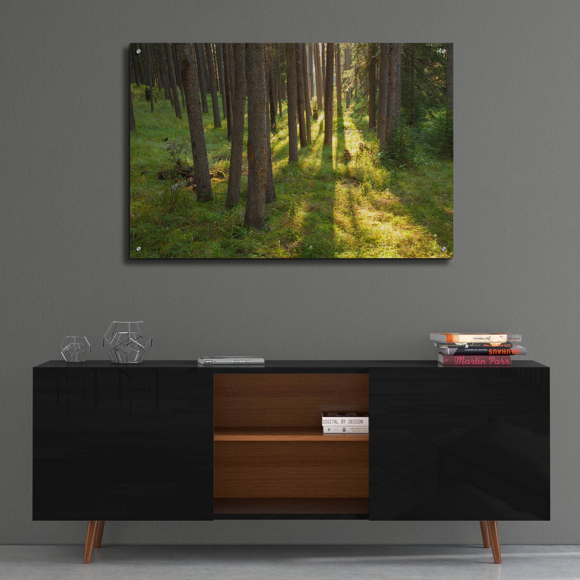 Epic Art 'Tree Sunset 1' by Joe Reimer Photography, Acrylic Glass Wall Art,36x24