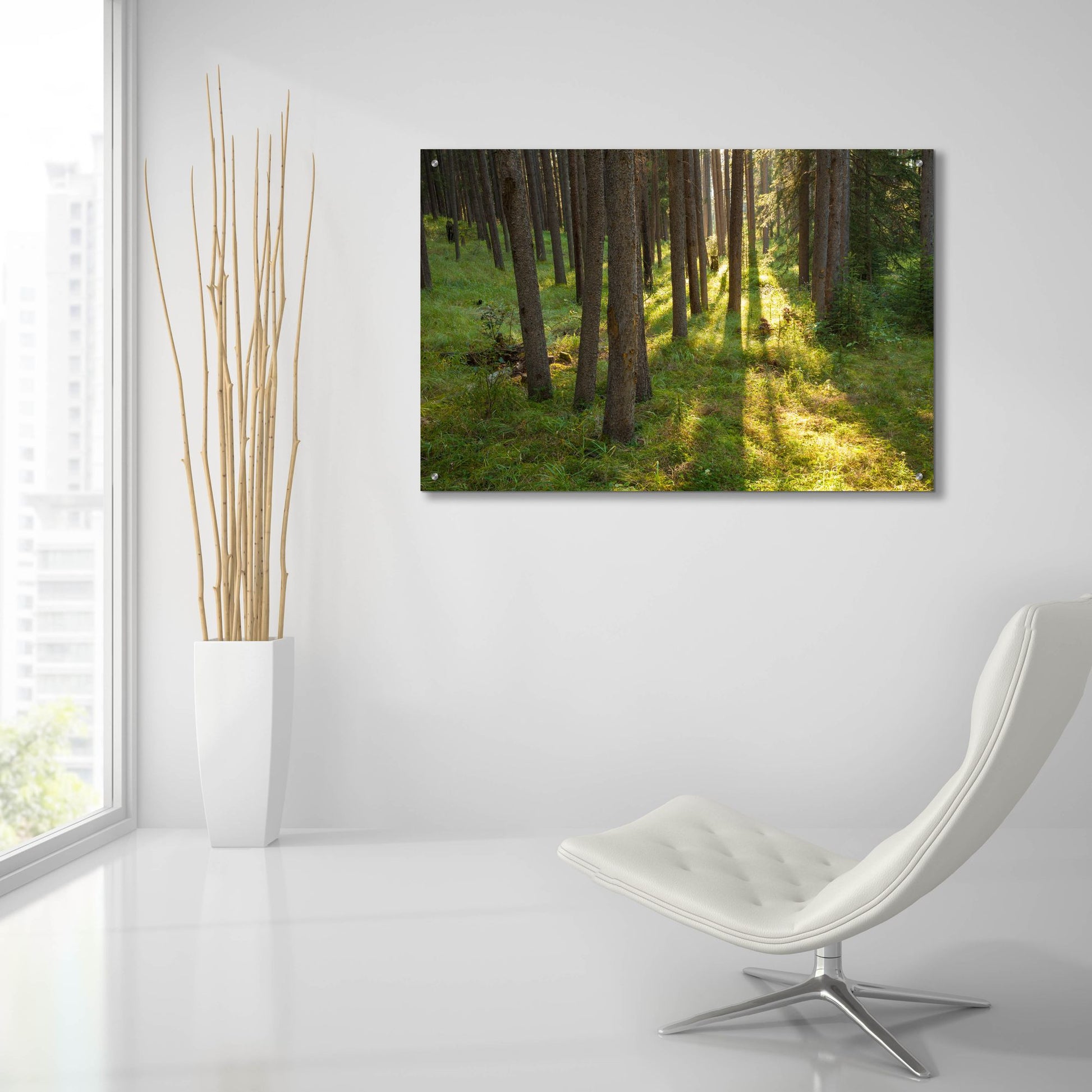 Epic Art 'Tree Sunset 1' by Joe Reimer Photography, Acrylic Glass Wall Art,36x24